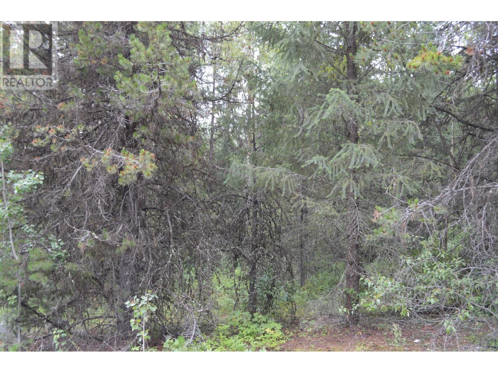 Lot 3 3 Highway, Grand Forks, British Columbia  V0H 1H5 - Photo 12 - 2478808