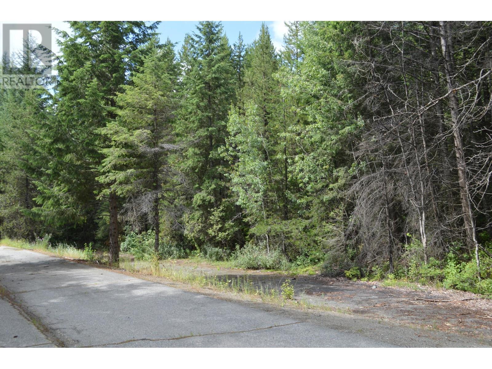 Lot 3 3 Highway, Grand Forks, British Columbia  V0H 1H5 - Photo 6 - 2478808