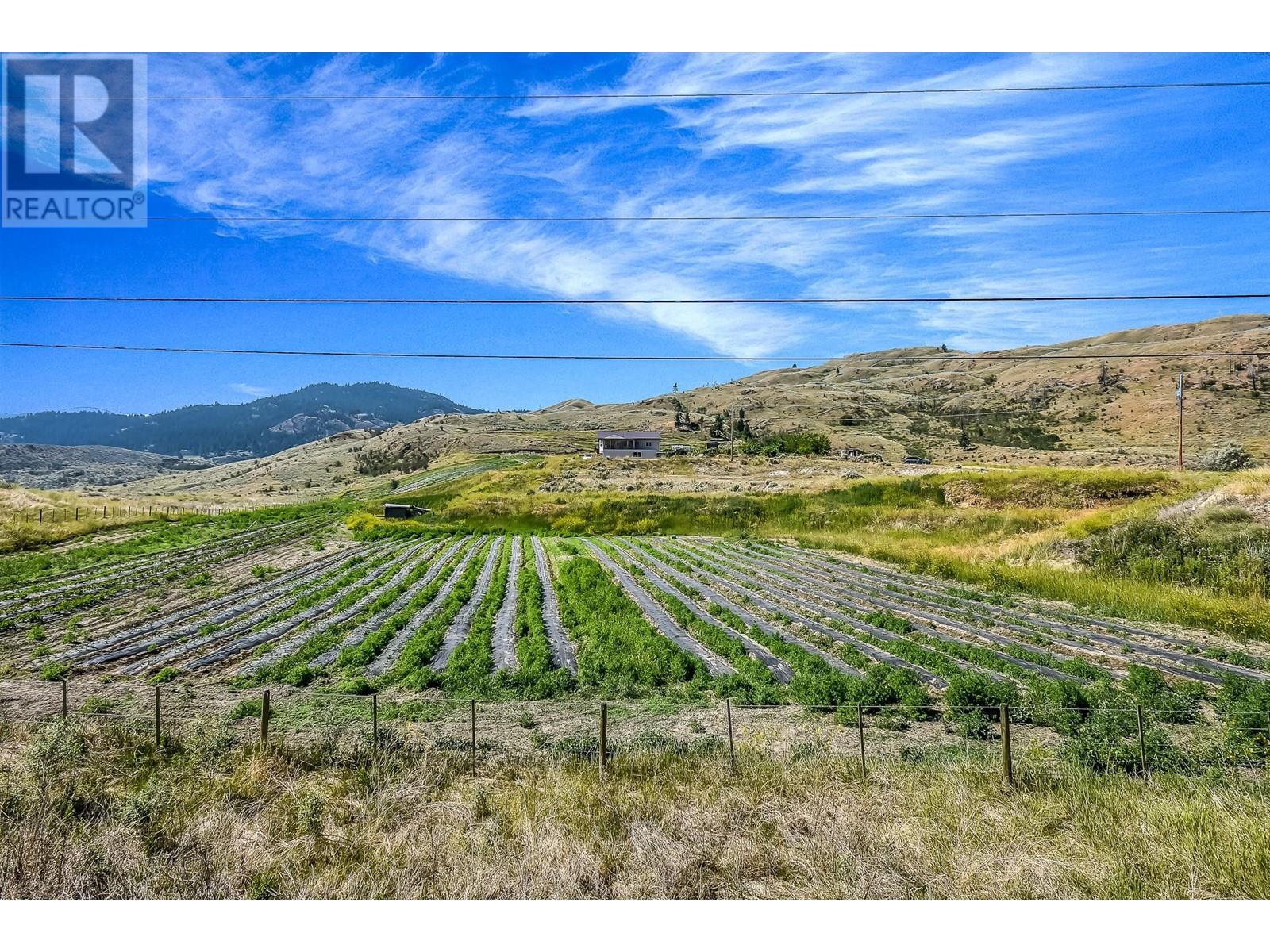 18255 3 Highway, Osoyoos, British Columbia  V0H 1V5 - Photo 13 - 10321132