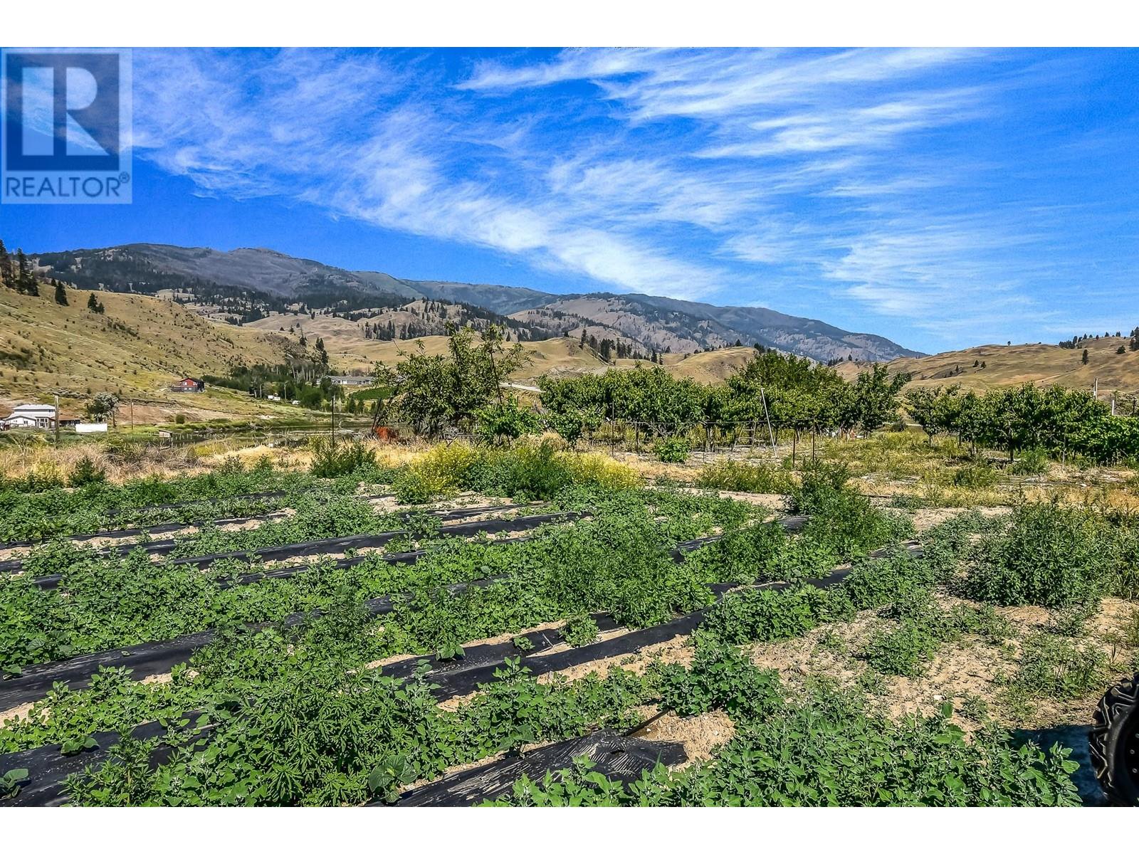 18255 3 Highway, Osoyoos, British Columbia  V0H 1V5 - Photo 15 - 10321132