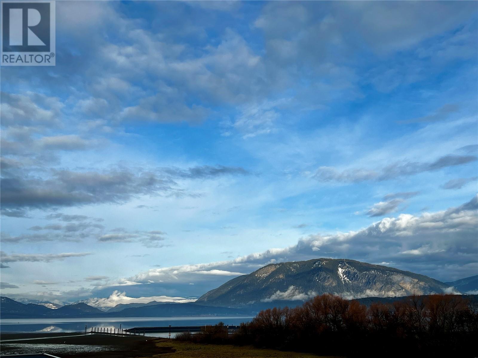 131 Harbourfront Drive Ne Unit# 402, Salmon Arm, British Columbia  V1E 2T3 - Photo 48 - 10321523