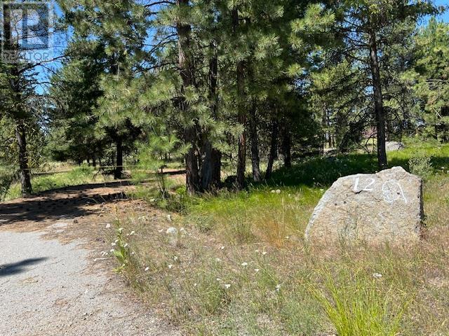 Lot 12 Sasquatch Trail, Osoyoos, British Columbia  V0H 1V6 - Photo 6 - 10321593