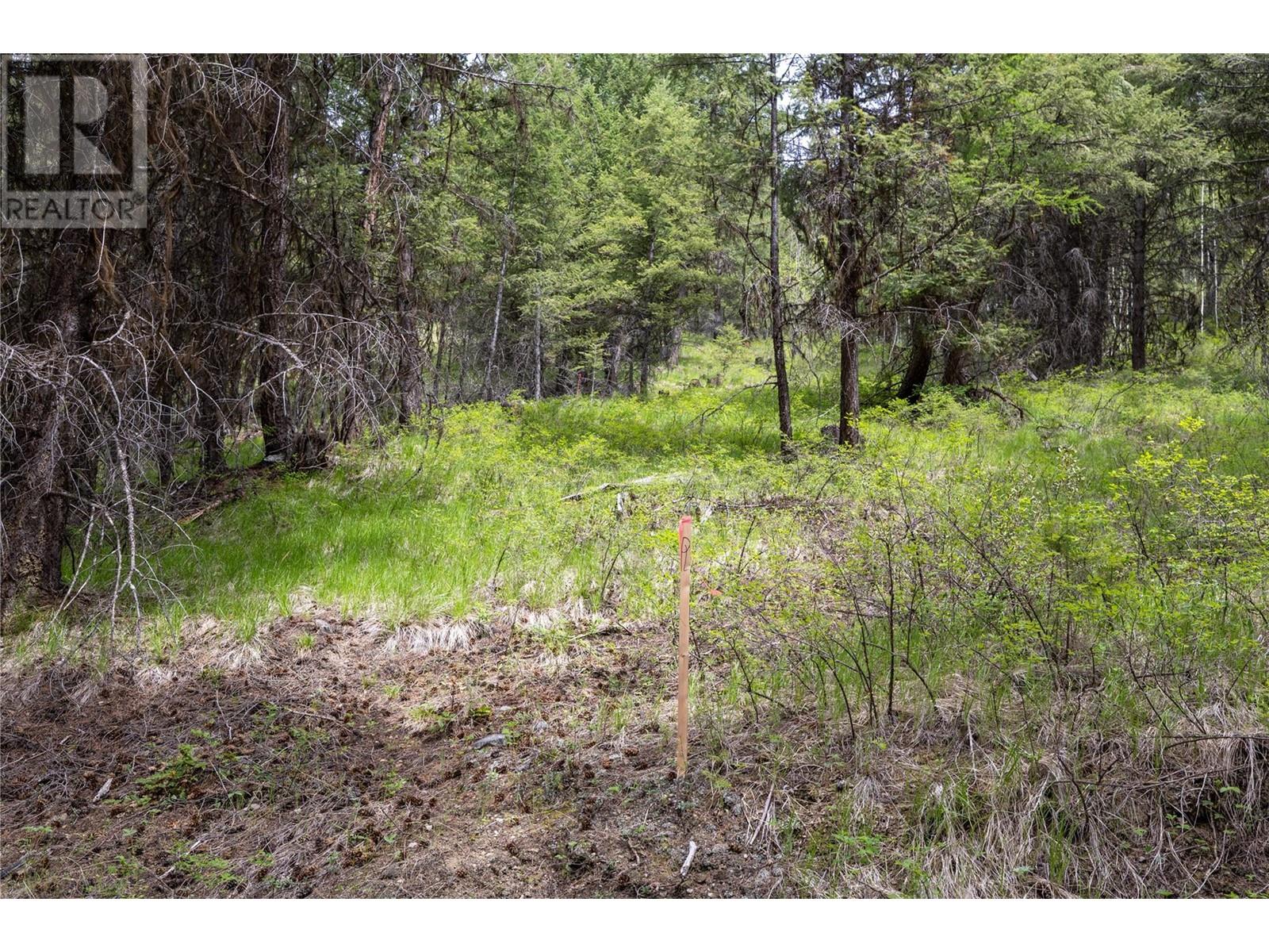 233 Boulder Road Lot# 10a, Beaverdell, British Columbia  V0H 1A0 - Photo 12 - 10321640