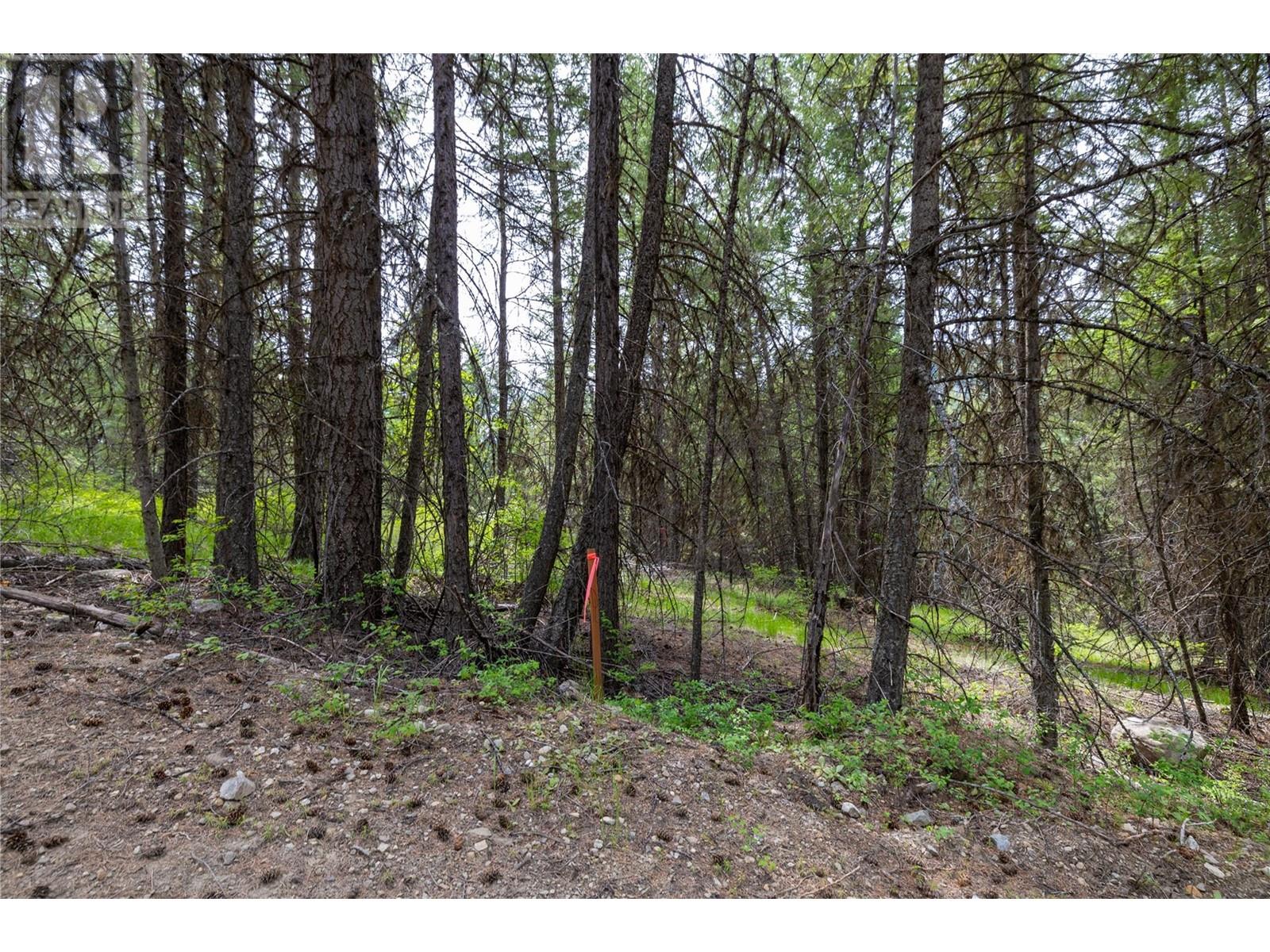 233 Boulder Road Lot# 10a, Beaverdell, British Columbia  V0H 1A0 - Photo 21 - 10321640