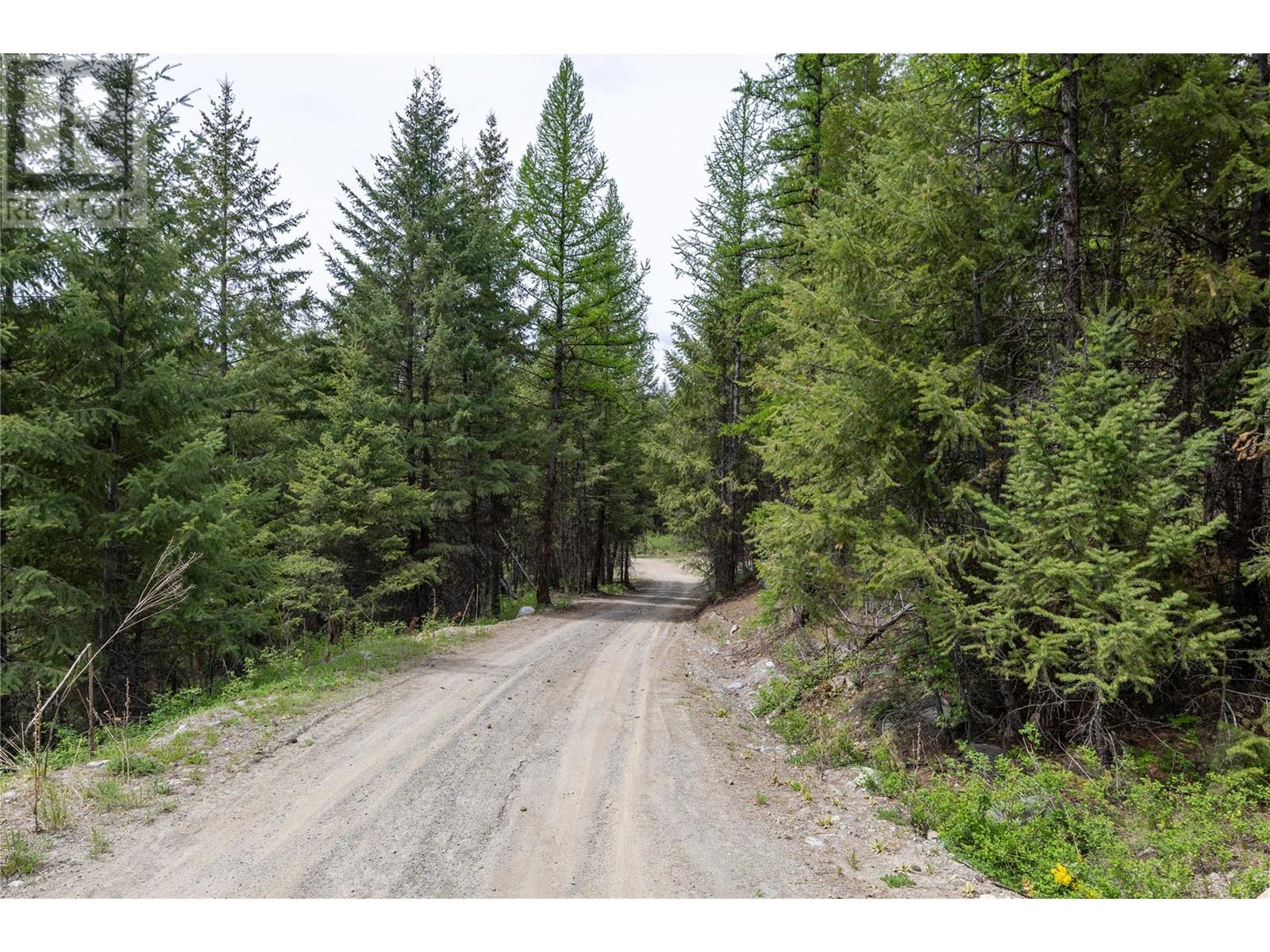 233 Boulder Road Lot# 10a, Beaverdell, British Columbia  V0H 1A0 - Photo 3 - 10321640