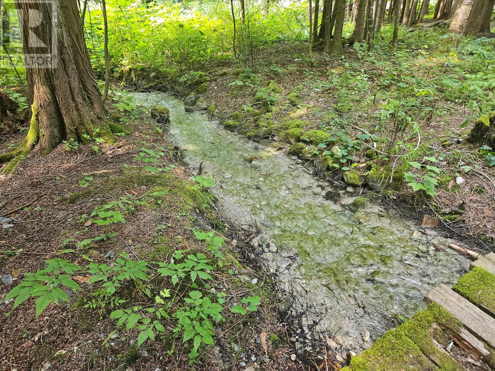 432 Bayles Road, Nakusp, British Columbia  V0G 1R1 - Photo 31 - 2478972