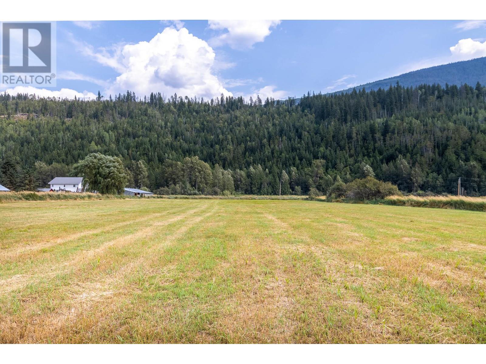 3695 Malakwa Loop Road, Malakwa, British Columbia  V0E 2J0 - Photo 34 - 10321831