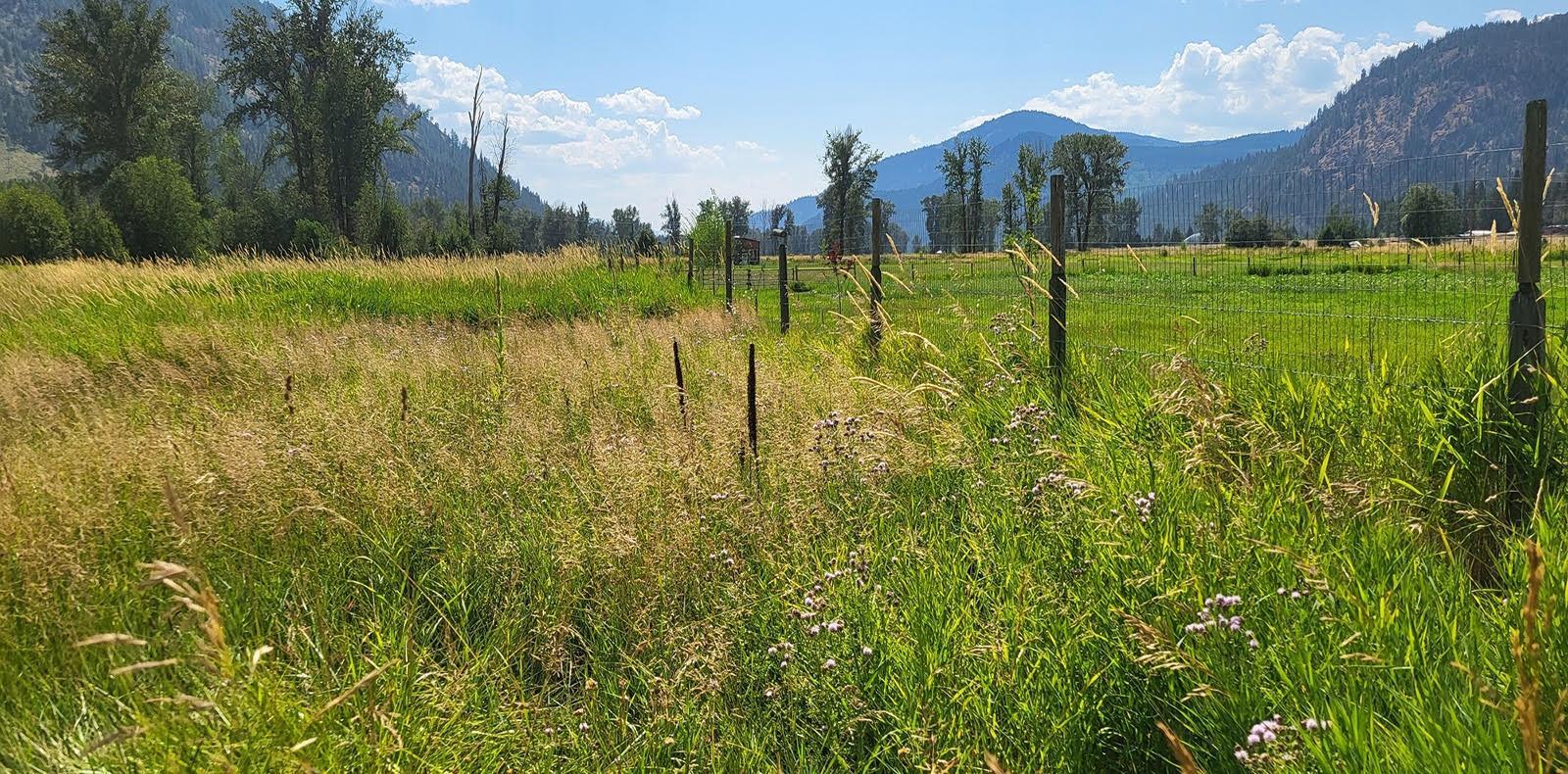 Lot 2 Brown Creek  E Road, Grand Forks, British Columbia  V0H 1H8 - Photo 18 - 2479110