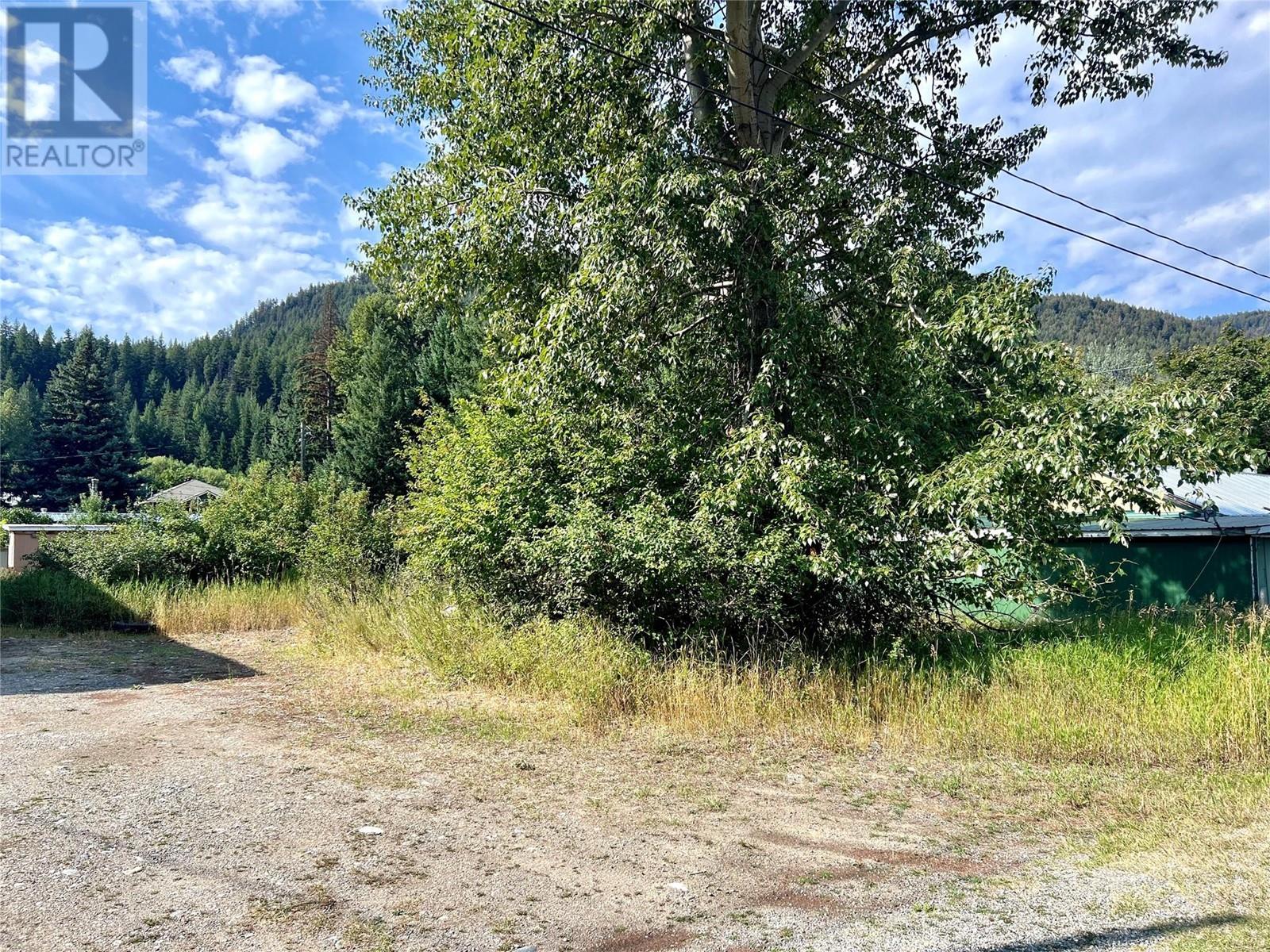 Dl 99, Lot 15, 16, 17 Columbia Street, Coalmont-Tulameen, British Columbia  V0X 1W0 - Photo 6 - 10322312