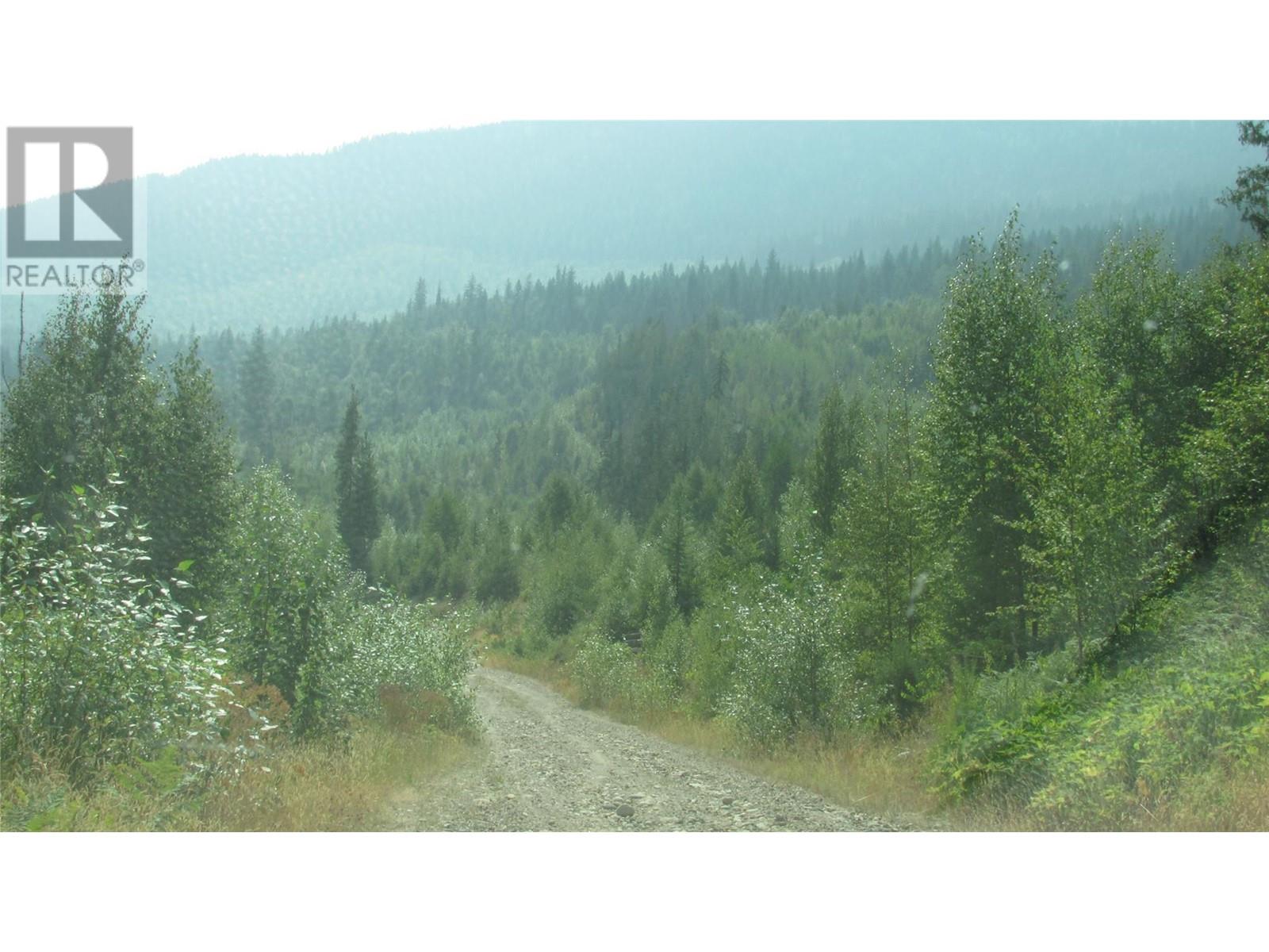 130  Acres Sugar Lake-Sihlis Fsr Road, Cherryville, British Columbia  V0E 2G3 - Photo 10 - 10322702