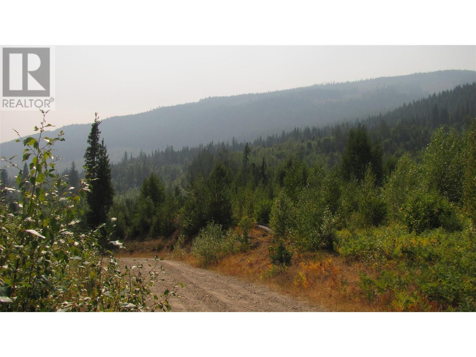 130  Acres Sugar Lake-Sihlis Fsr Road, Cherryville, British Columbia  V0E 2G3 - Photo 11 - 10322702