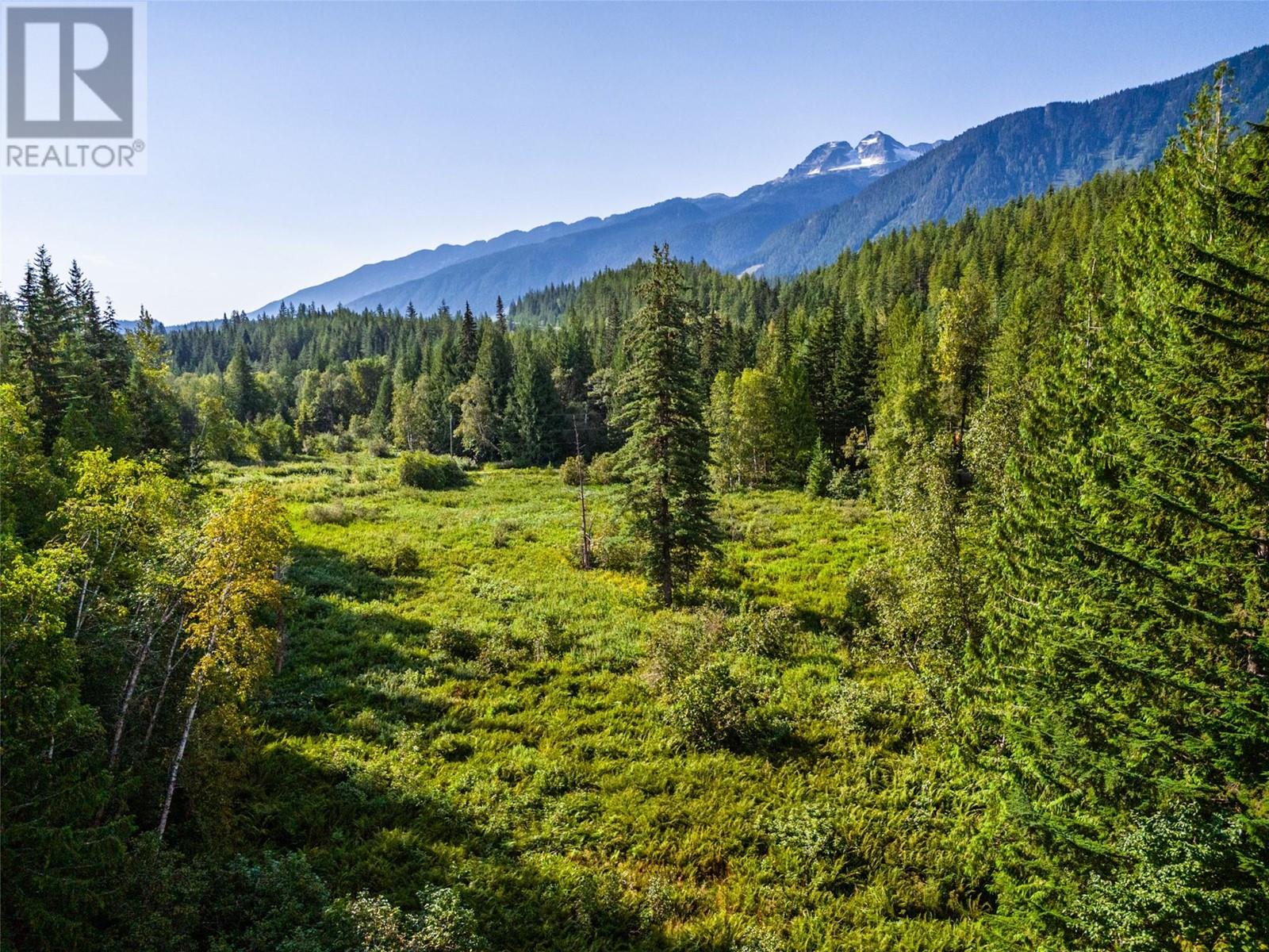 1750 Highway 23 South Highway S, Revelstoke, British Columbia  V0E 2S0 - Photo 2 - 10322480