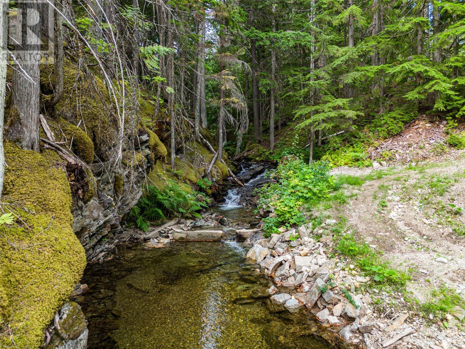 1750 Highway 23 South Highway S, Revelstoke, British Columbia  V0E 2S0 - Photo 23 - 10322480