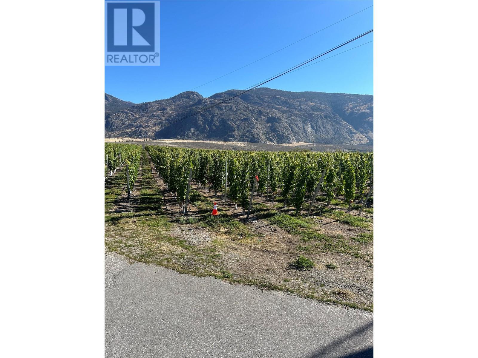 9425 87th Street, Osoyoos, British Columbia  V0H 1V0 - Photo 3 - 10323069