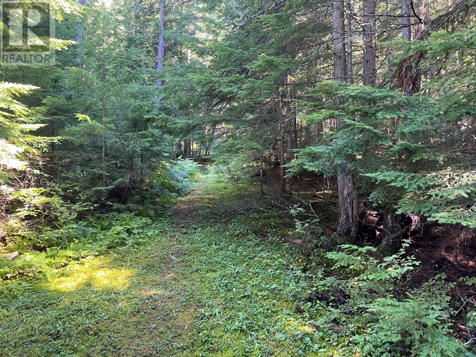 8479 Red Mountain Road, Silverton, British Columbia  V0G 2B0 - Photo 25 - 2479319