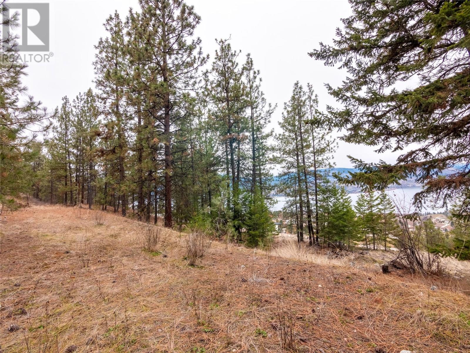 2960 Outlook Way Lot# 12, Naramata, British Columbia  V0H 1N1 - Photo 41 - 10323548