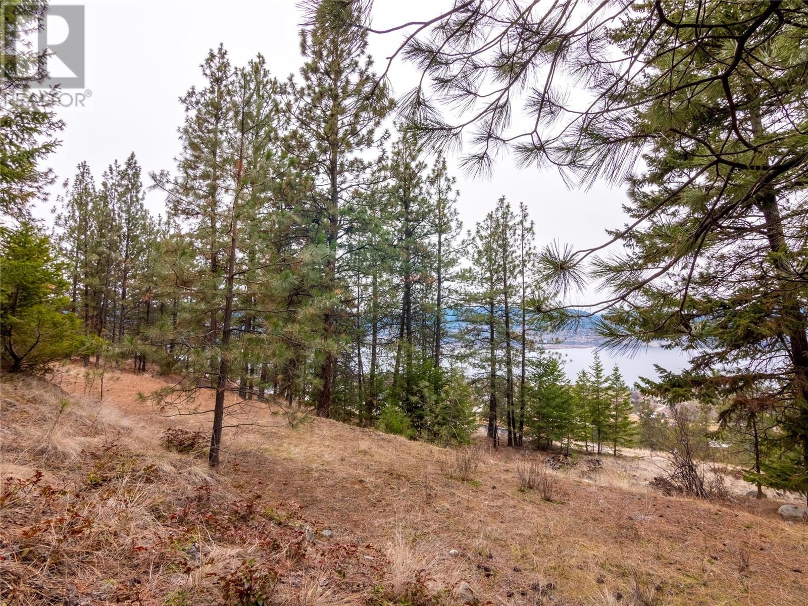 2960 Outlook Way Lot# 12, Naramata, British Columbia  V0H 1N1 - Photo 44 - 10323548