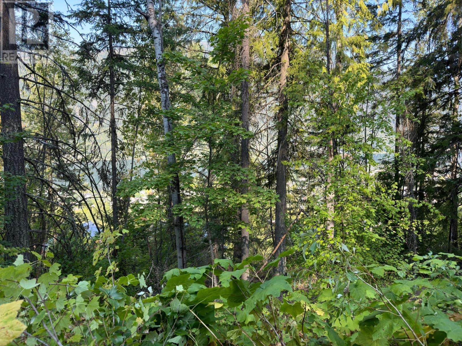 Lot 1 Trevor Street, Nelson, British Columbia  V1L 6C5 - Photo 43 - 2479479