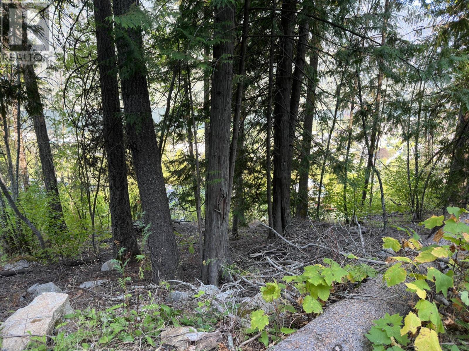 Lot 1 Trevor Street, Nelson, British Columbia  V1L 6C5 - Photo 45 - 2479479