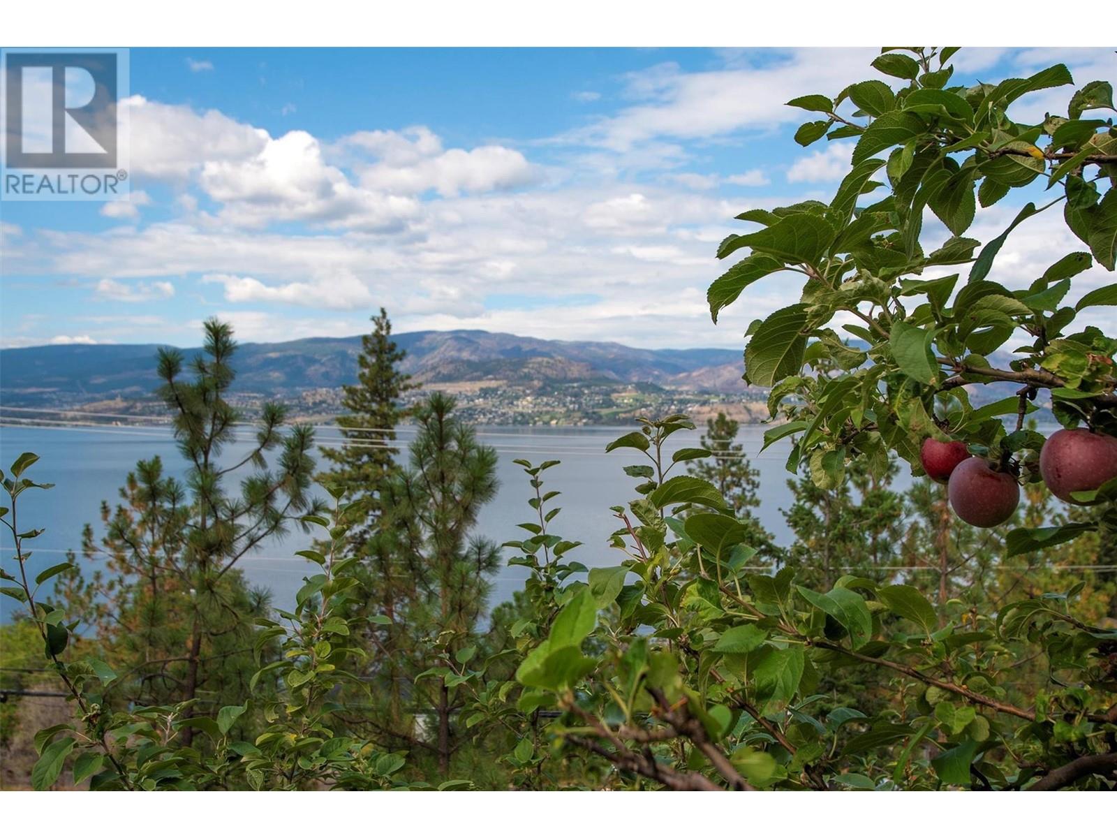 402 Viewcrest Road, Kelowna, British Columbia  V1W 4J8 - Photo 48 - 10324158