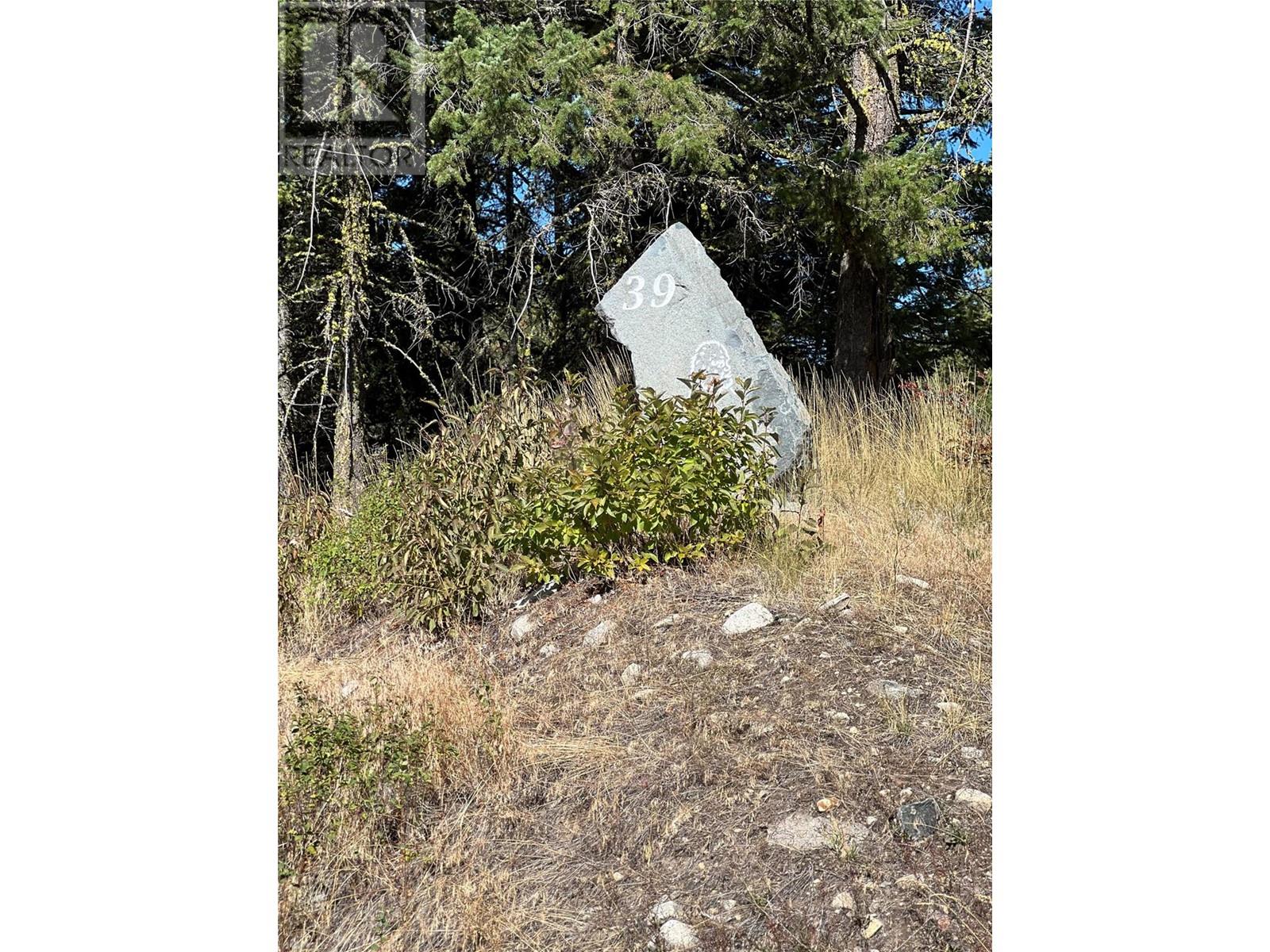 Lot 39 Sasquatch Trail Trail, Osoyoos, British Columbia  V0H 1V6 - Photo 13 - 10324252