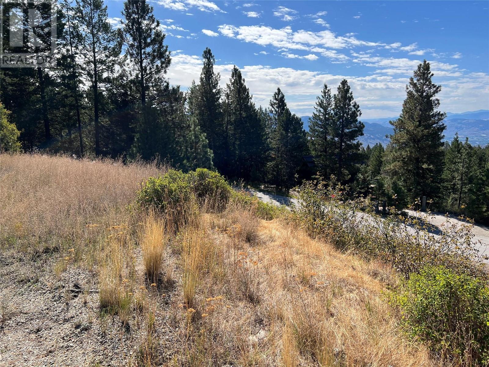 Lot 39 Sasquatch Trail Trail, Osoyoos, British Columbia  V0H 1V6 - Photo 2 - 10324252