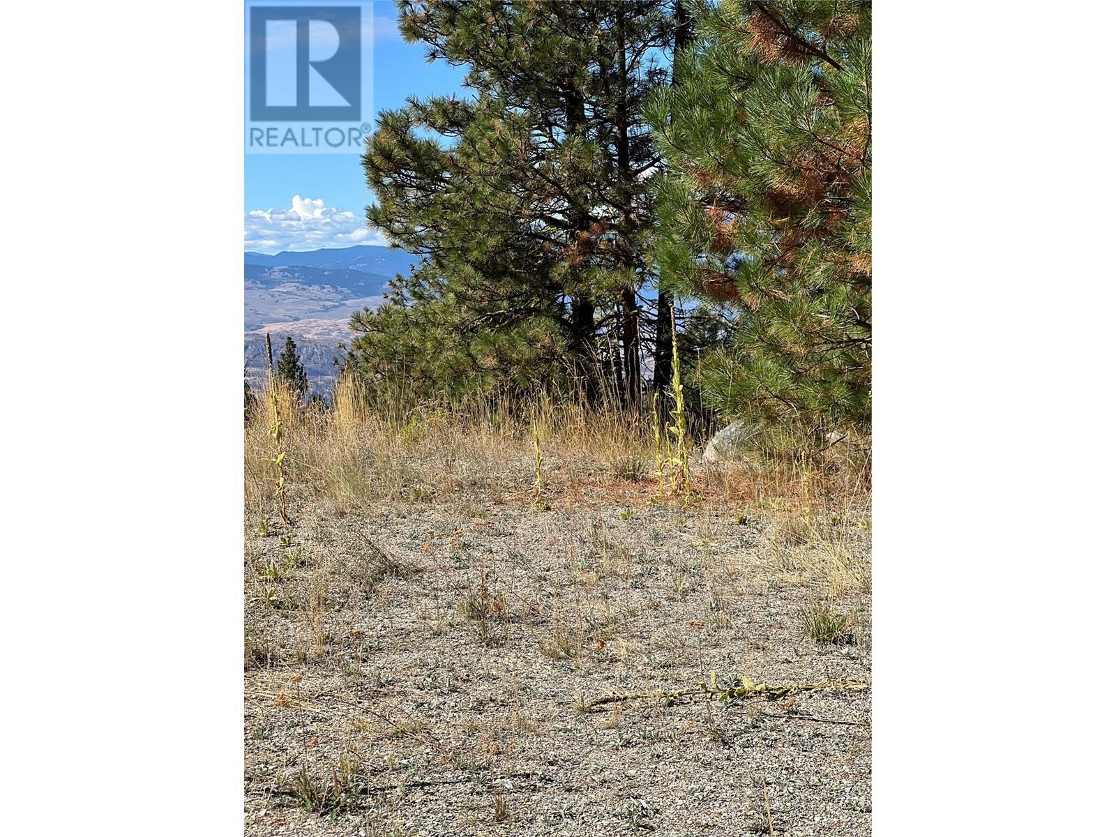 Lot 39 Sasquatch Trail Trail, Osoyoos, British Columbia  V0H 1V6 - Photo 8 - 10324252