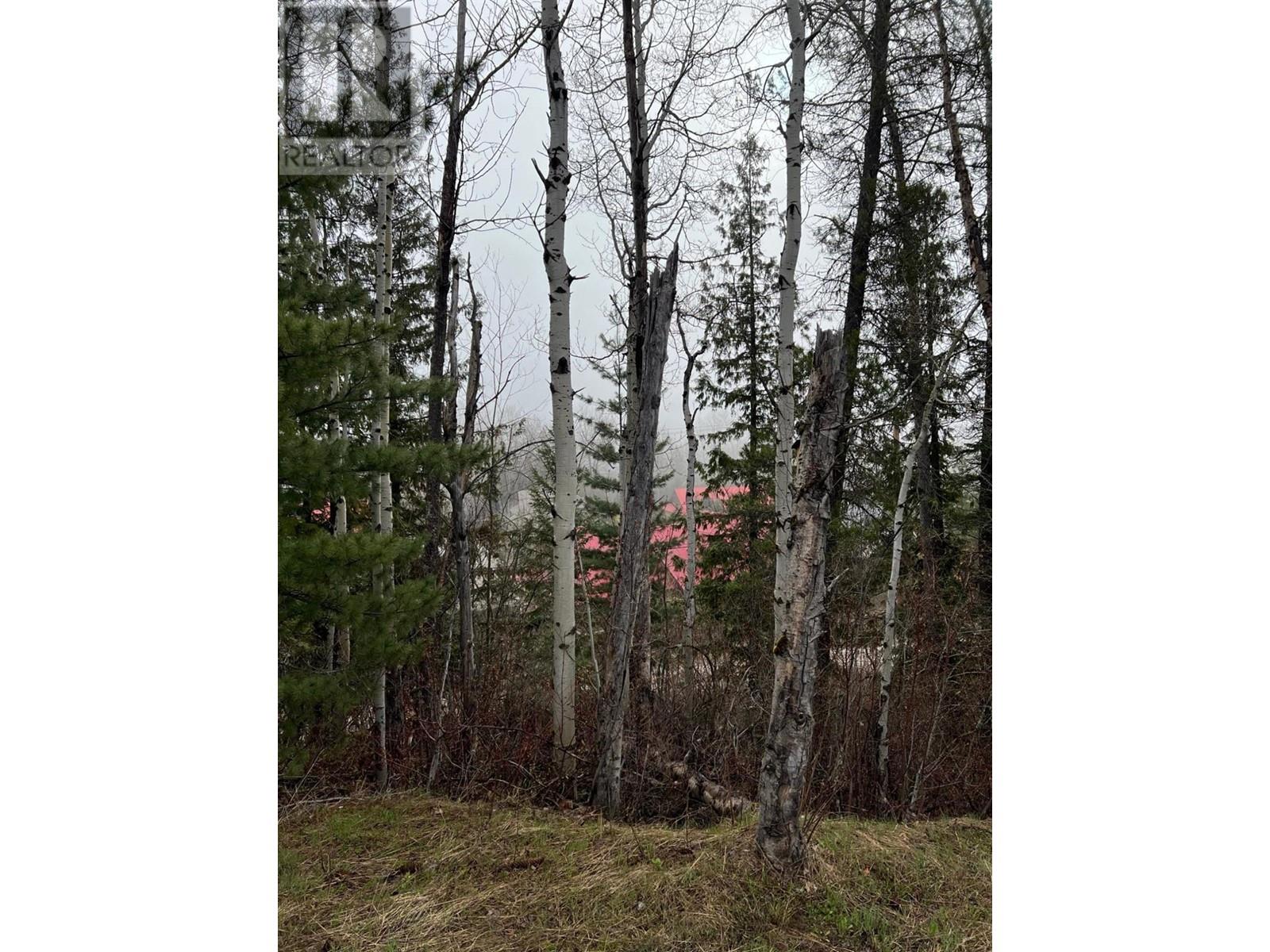 Lot 18 Alpine Trail Place, Fernie, British Columbia  V0B 1M5 - Photo 20 - 2479701