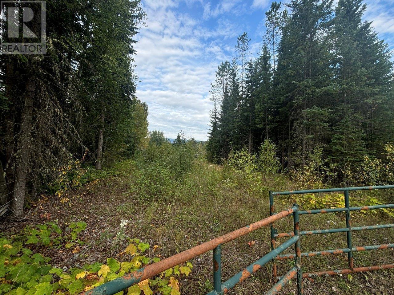 Lot 6 Clearwater Valley Road, Clearwater, British Columbia  V0E 1N1 - Photo 15 - 181234