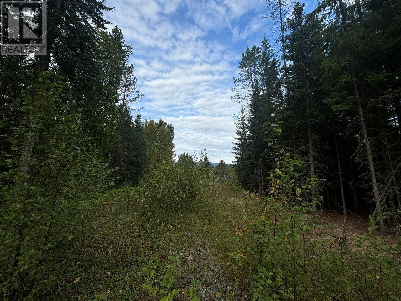 Lot 6 Clearwater Valley Road, Clearwater, British Columbia  V0E 1N1 - Photo 16 - 181234