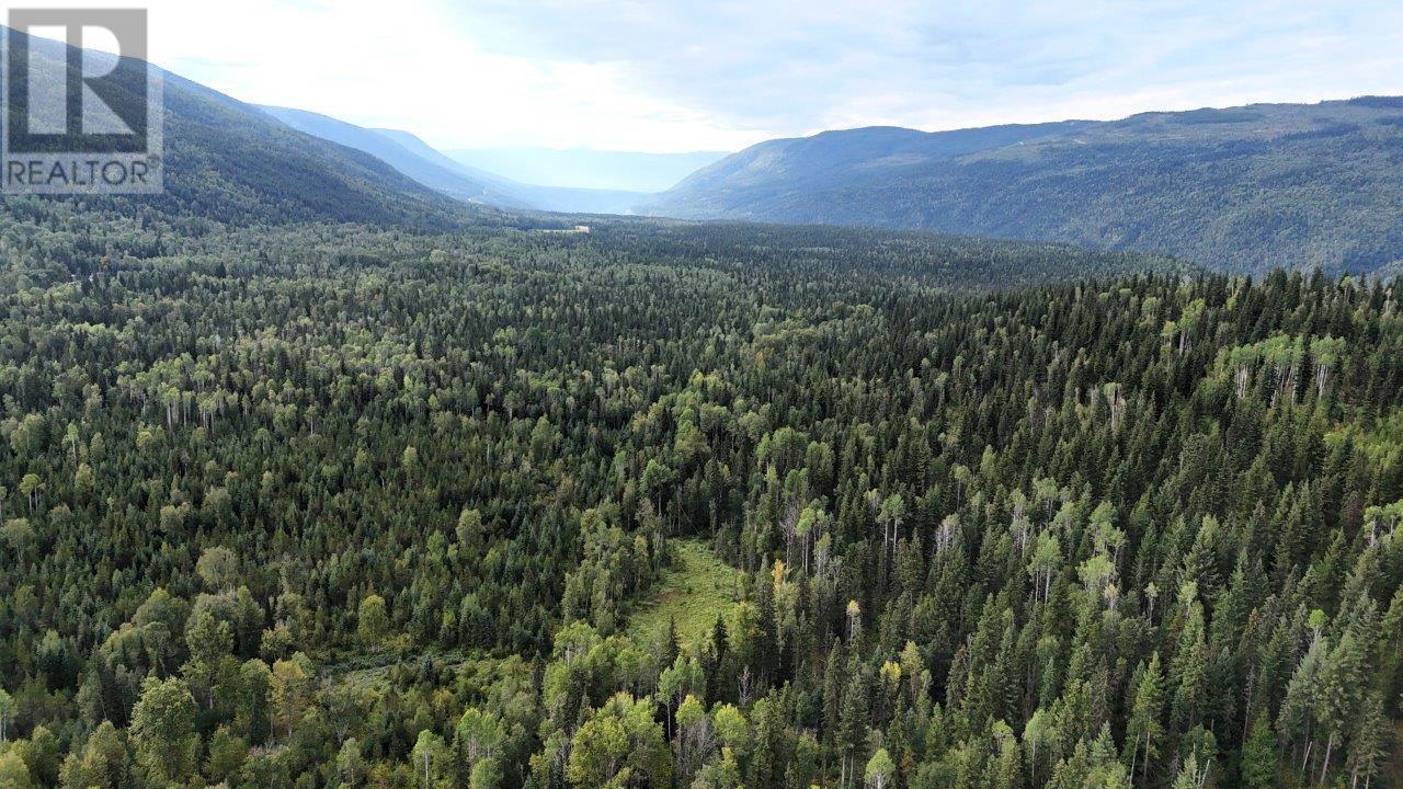 Lot 6 Clearwater Valley Road, Clearwater, British Columbia  V0E 1N1 - Photo 6 - 181234