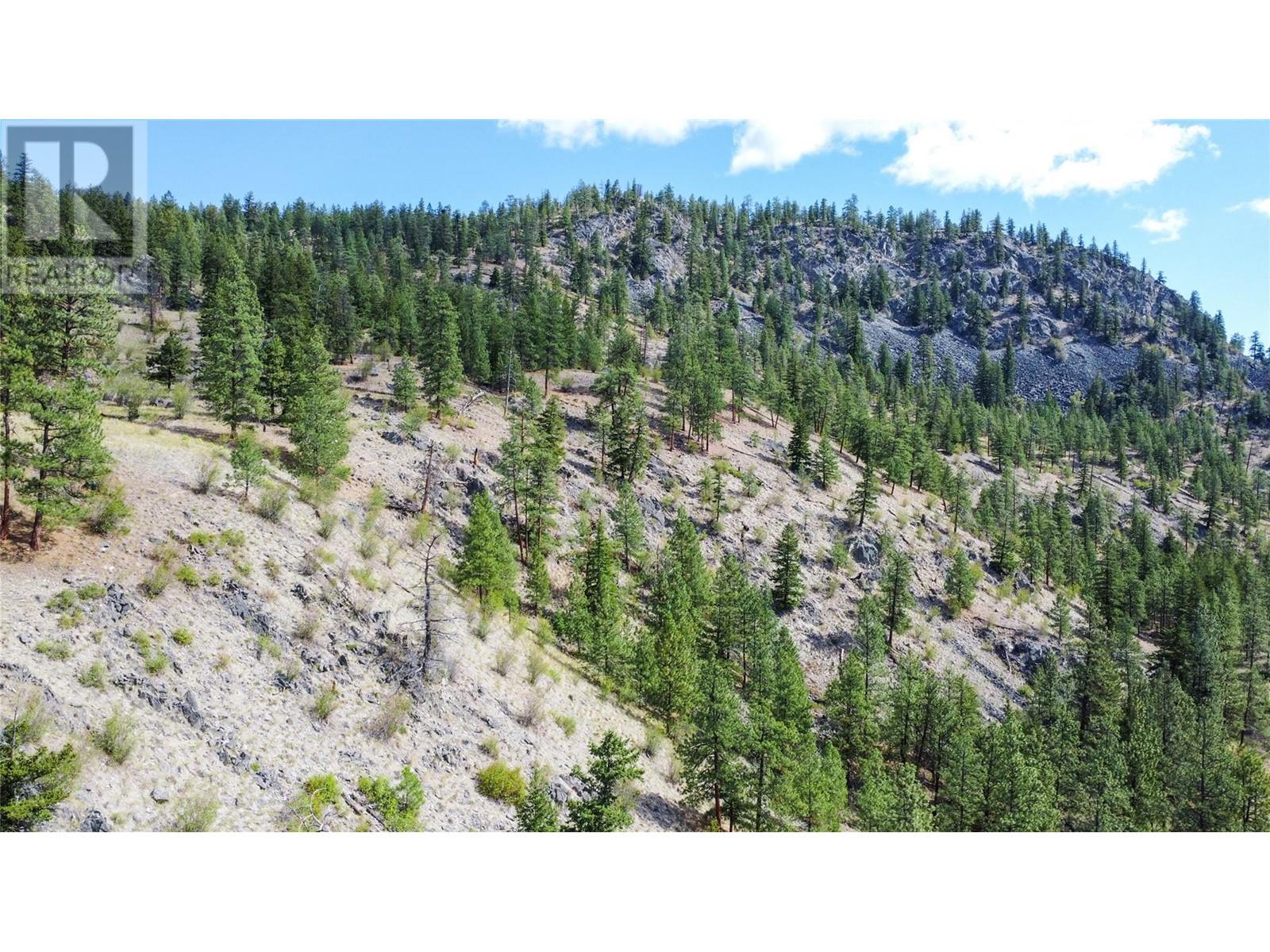 Lot 2-8208 Princeton Summerland Road, Summerland, British Columbia  V0H 1Z8 - Photo 10 - 10325565