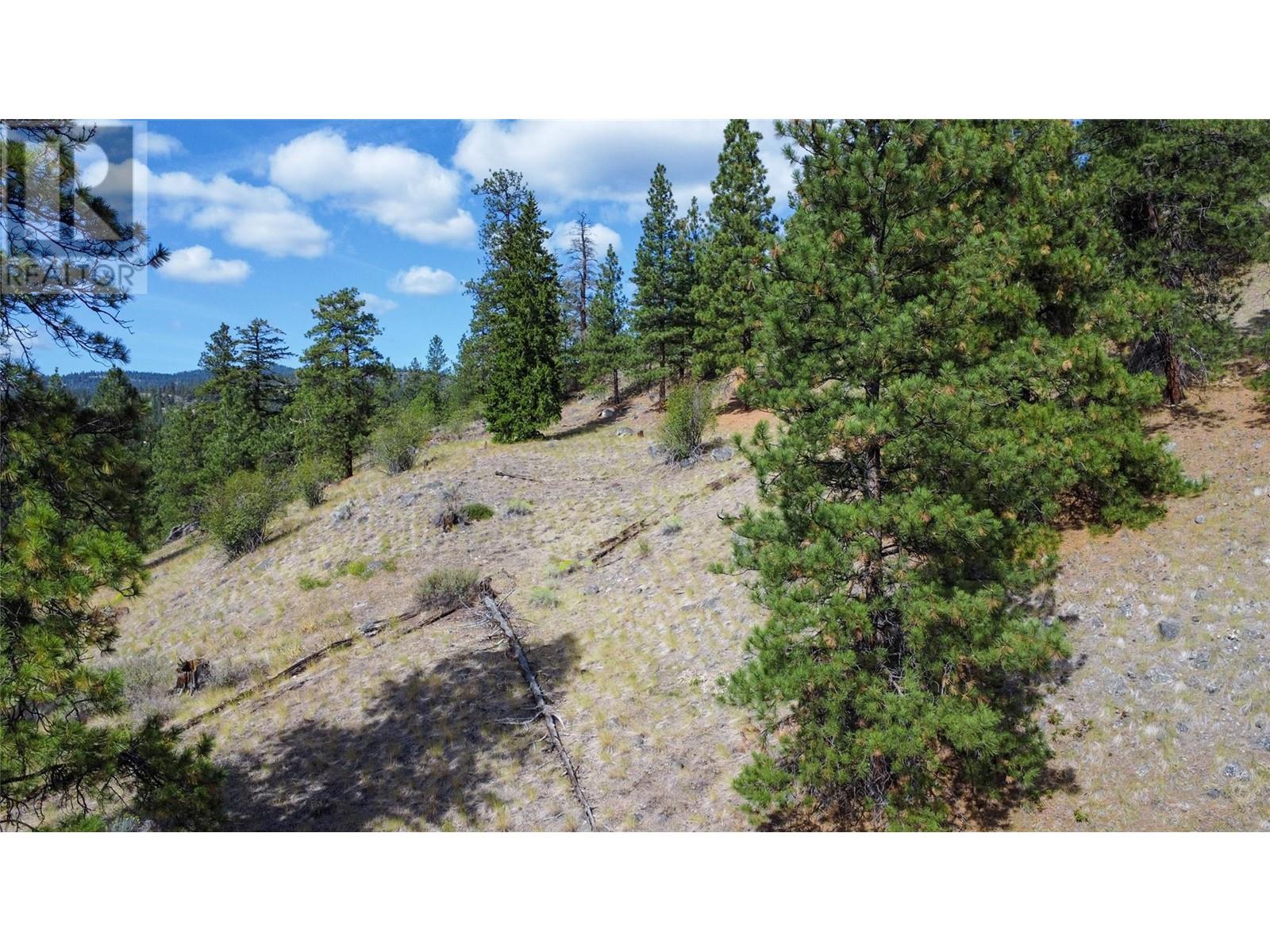 Lot 2-8208 Princeton Summerland Road, Summerland, British Columbia  V0H 1Z8 - Photo 18 - 10325565