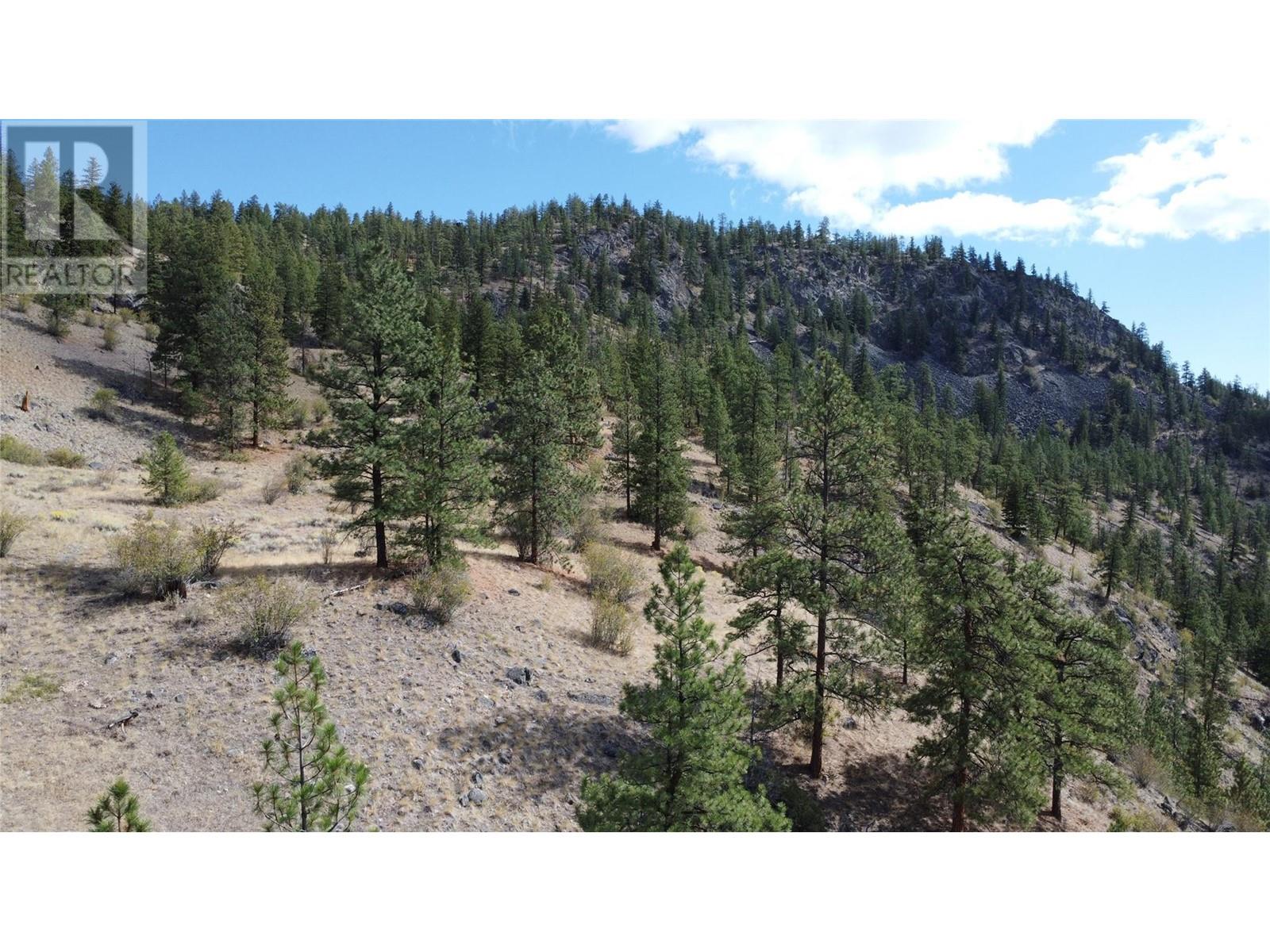 Lot 2-8208 Princeton Summerland Road, Summerland, British Columbia  V0H 1Z8 - Photo 3 - 10325565