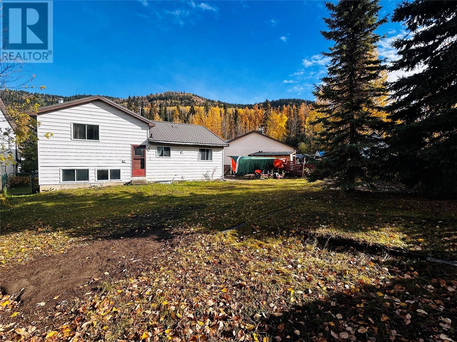 64 Sukunka Place, Tumbler Ridge, British Columbia  V0C 2W0 - Photo 13 - 10325868