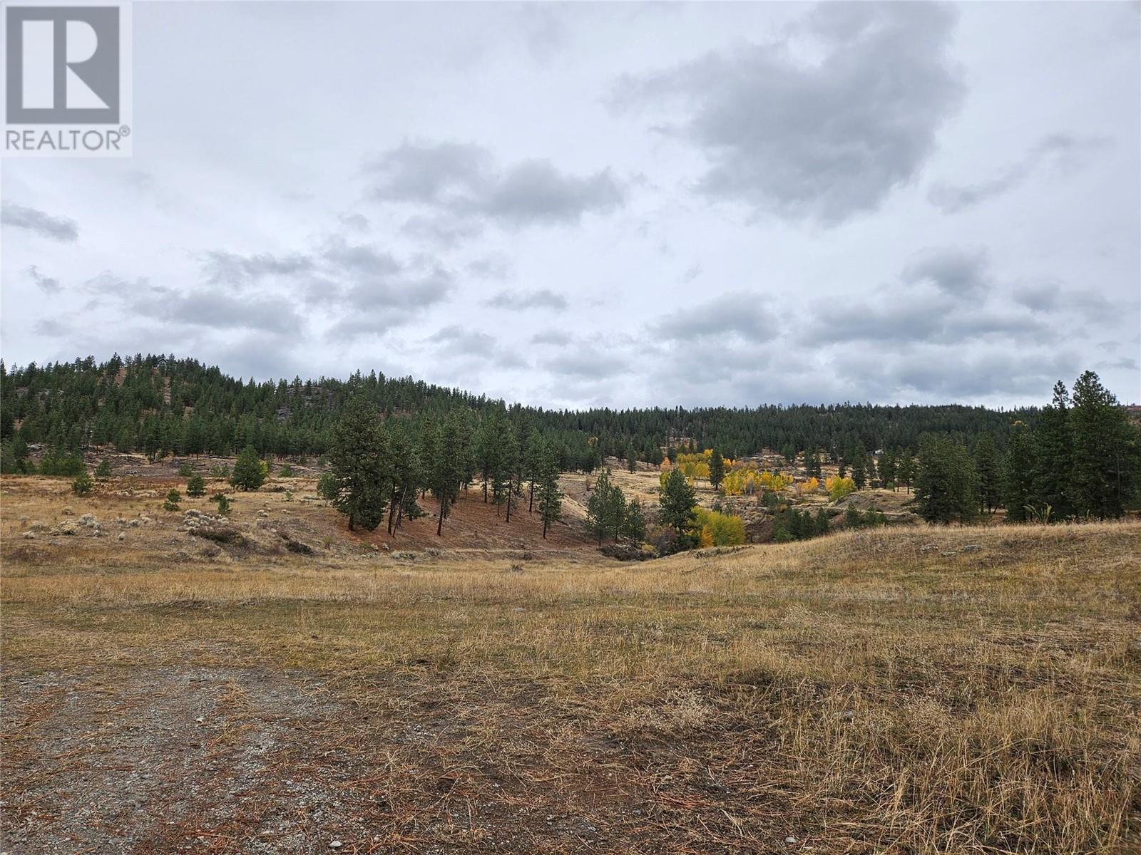 A Reservoir Road Lot# Lot A, Penticton, British Columbia  V2A 8T3 - Photo 48 - 10326361