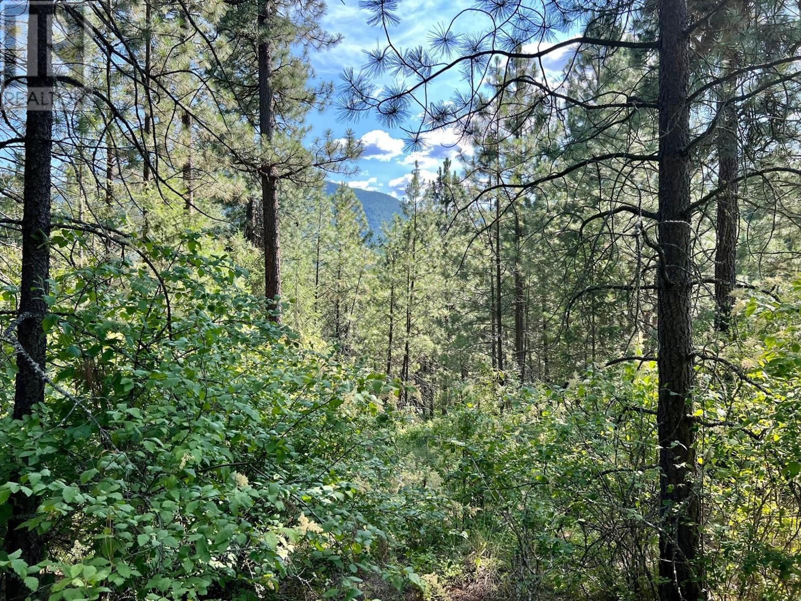 Lot 11 Evans Road, Creston, British Columbia  V0B 1G7 - Photo 1 - 2480120