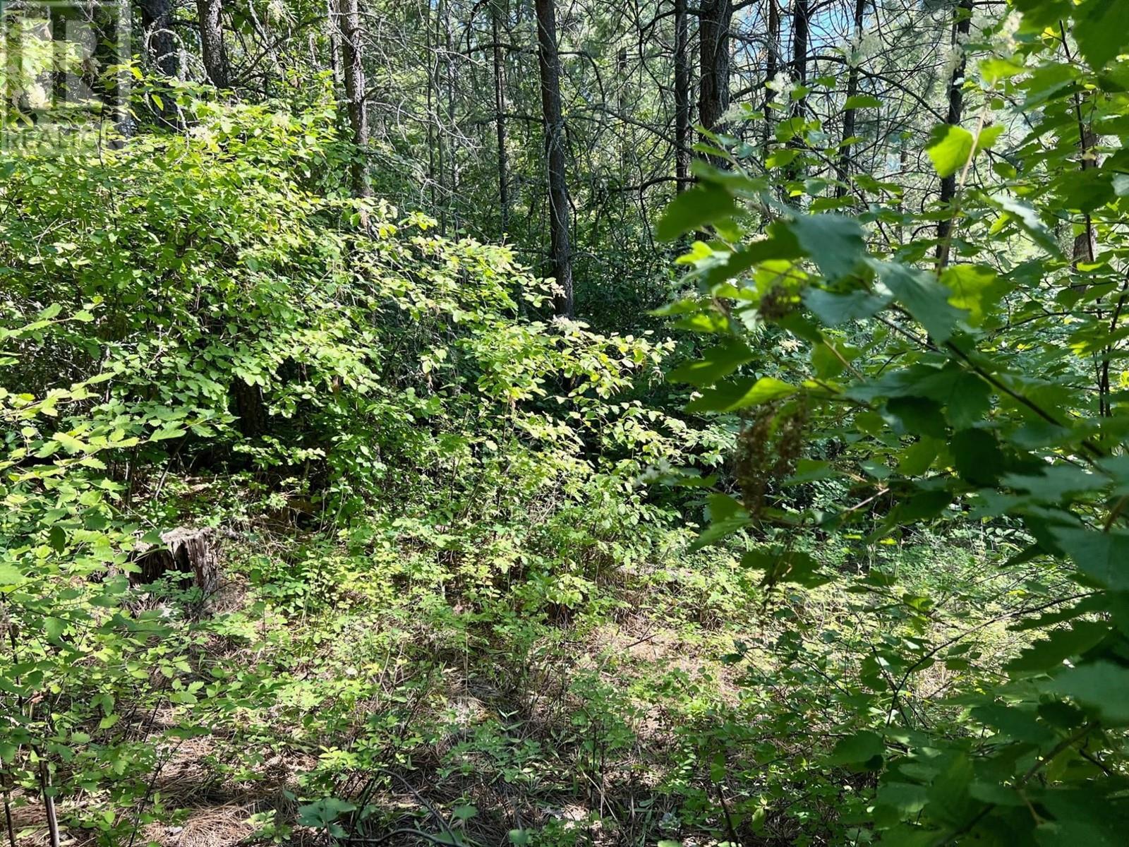 Lot 11 Evans Road, Creston, British Columbia  V0B 1G7 - Photo 11 - 2480120