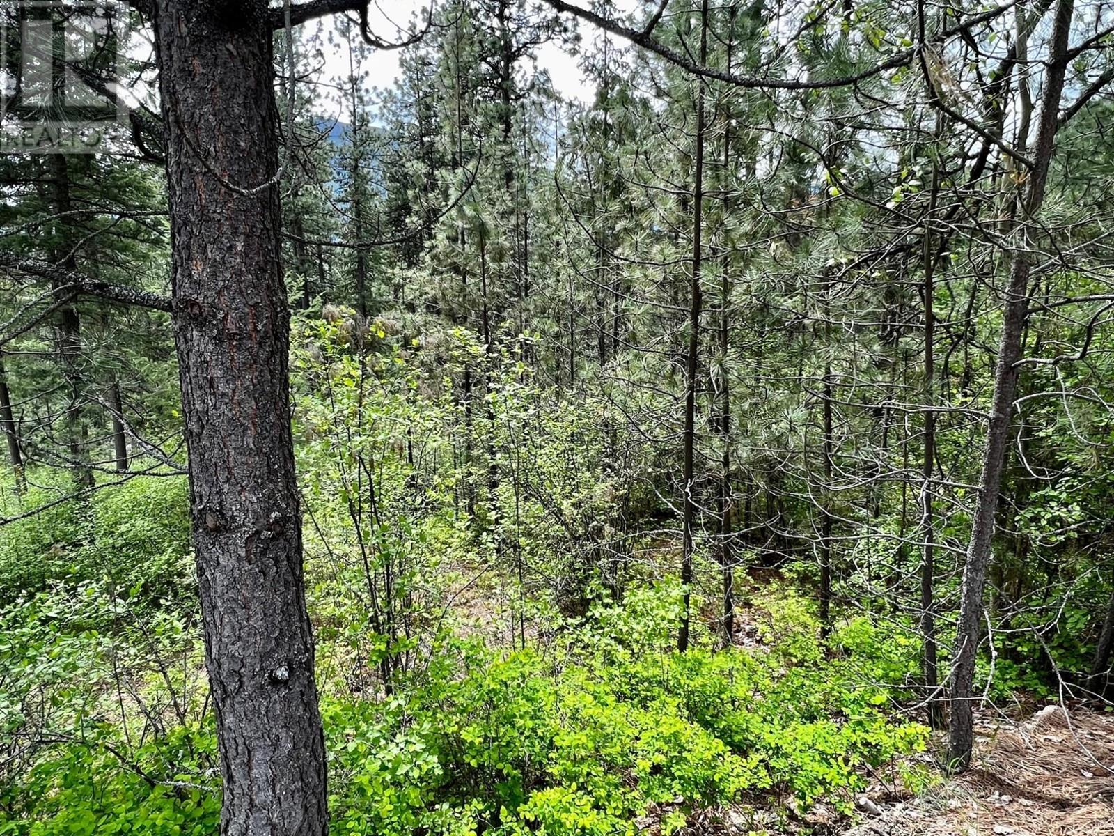 Lot 11 Evans Road, Creston, British Columbia  V0B 1G7 - Photo 19 - 2480120