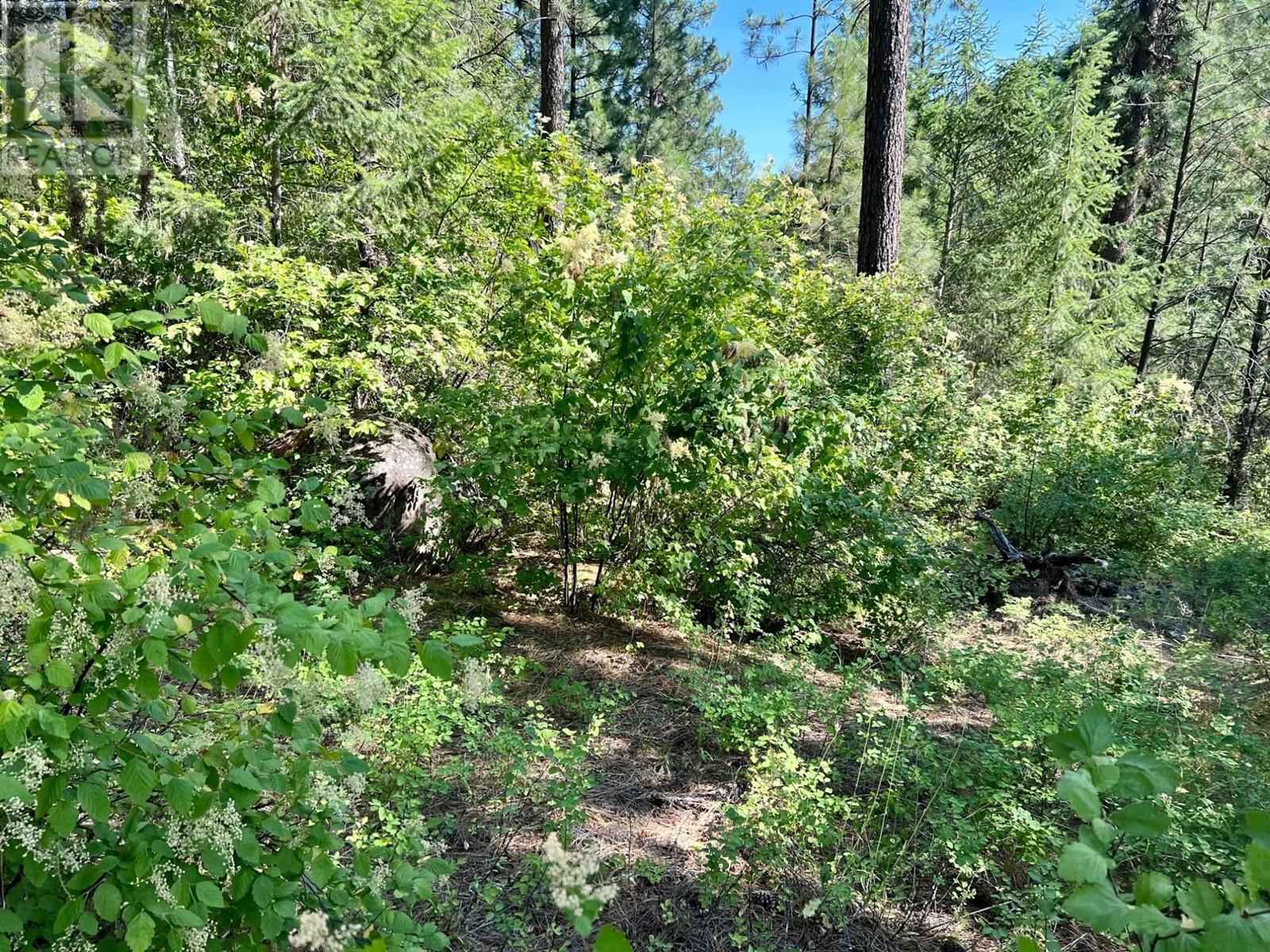 Lot 11 Evans Road, Creston, British Columbia  V0B 1G7 - Photo 2 - 2480120