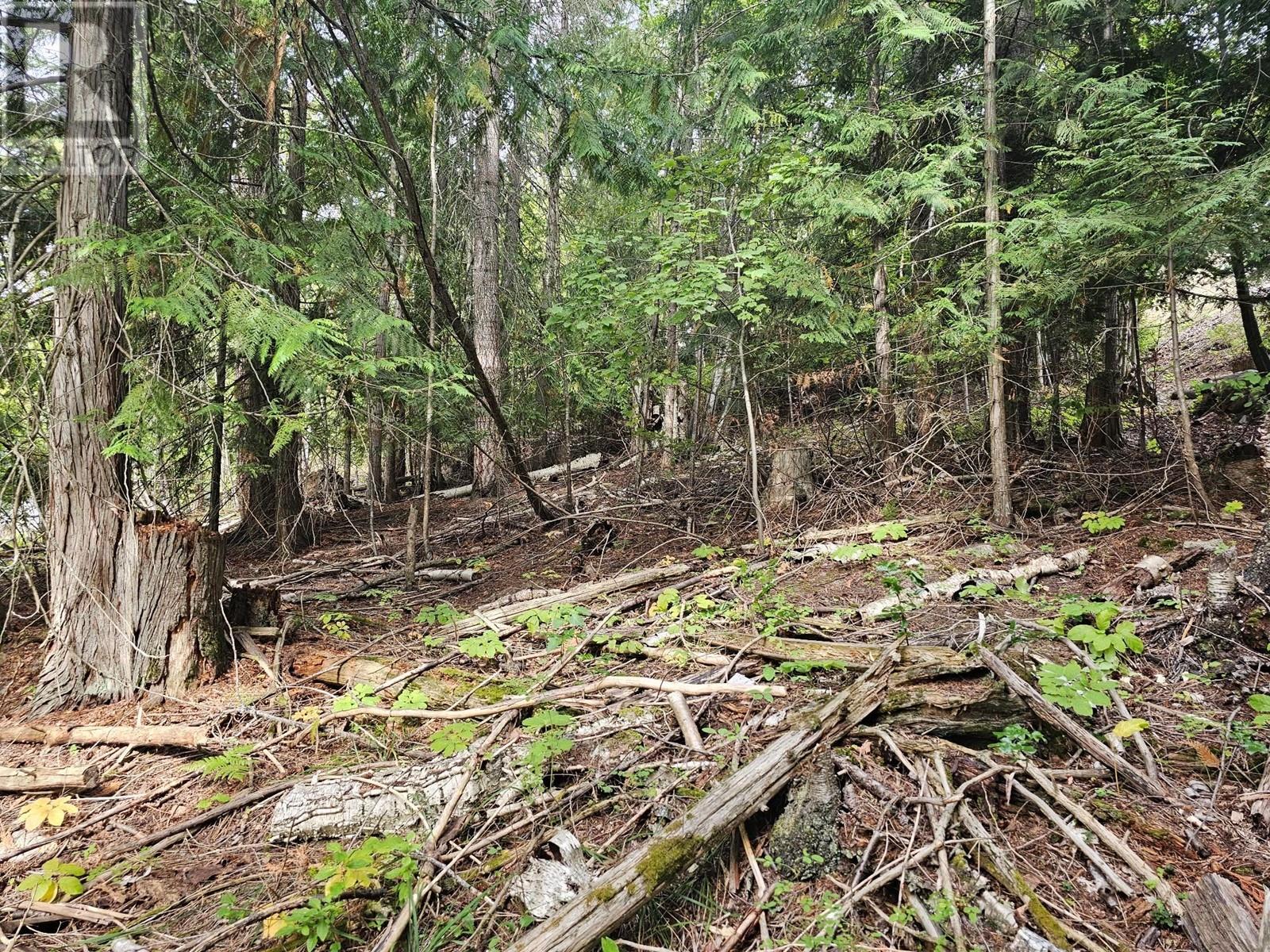 Lot 389 Anglemont Way, Anglemont, British Columbia  V0E 1M8 - Photo 13 - 10325711