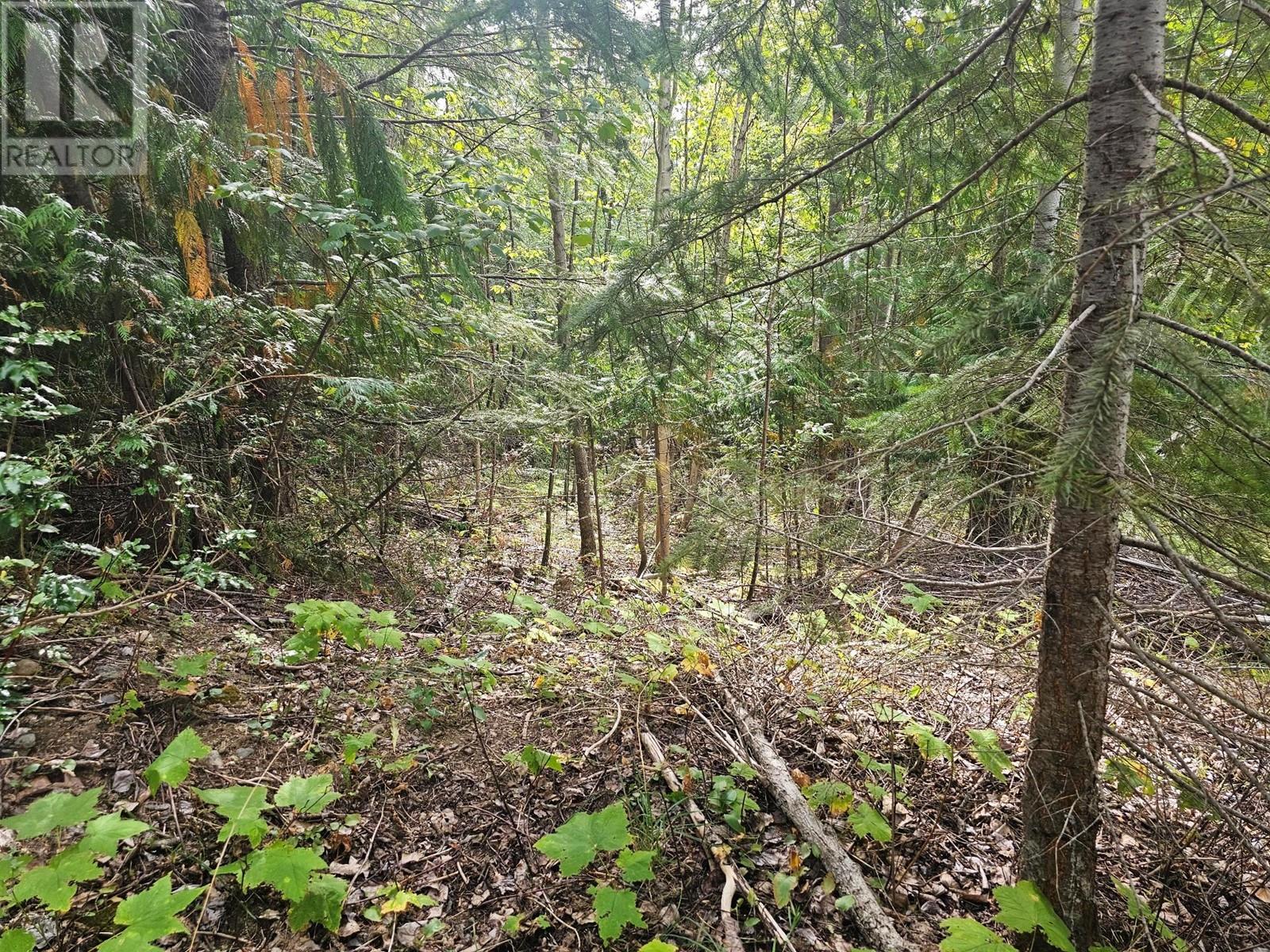 Lot 389 Anglemont Way, Anglemont, British Columbia  V0E 1M8 - Photo 22 - 10325711