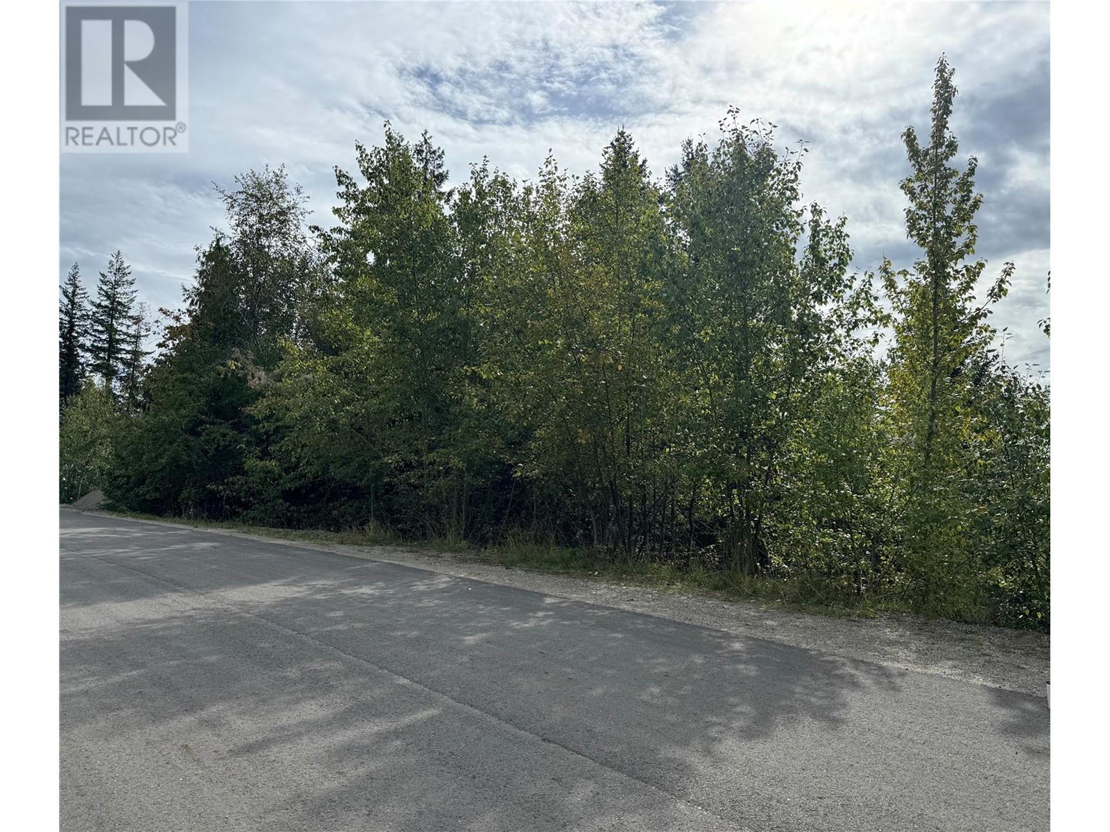 Lot 389 Anglemont Way, Anglemont, British Columbia  V0E 1M8 - Photo 3 - 10325711