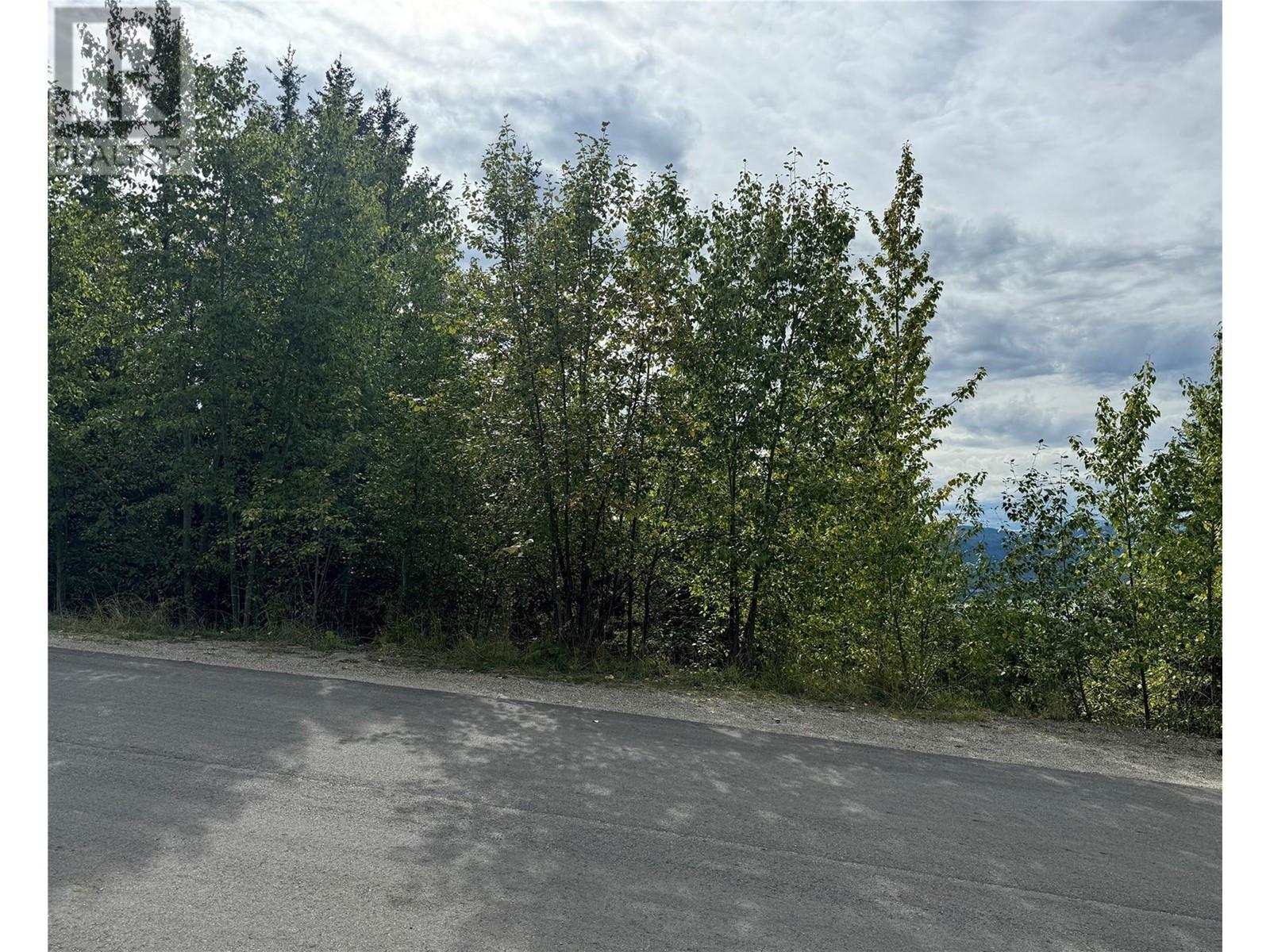 Lot 389 Anglemont Way, Anglemont, British Columbia  V0E 1M8 - Photo 4 - 10325711