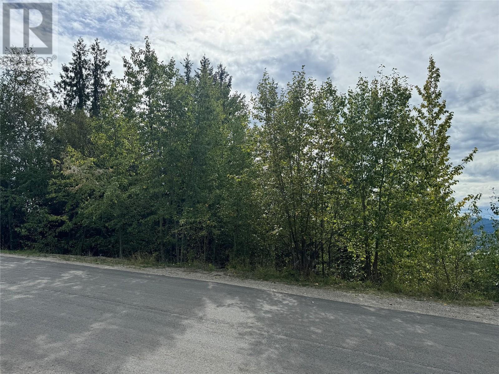 Lot 389 Anglemont Way, Anglemont, British Columbia  V0E 1M8 - Photo 5 - 10325711