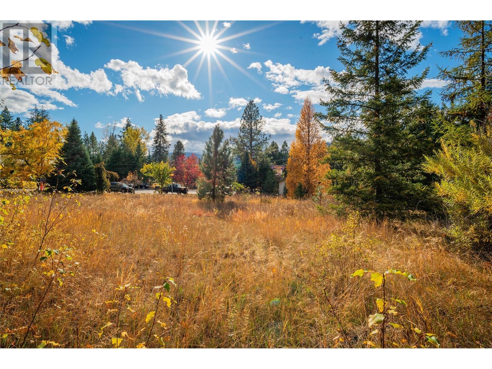 Lot 4 Sandner Frontage Road, Christina Lake, British Columbia  V0N 1E0 - Photo 19 - 2480123