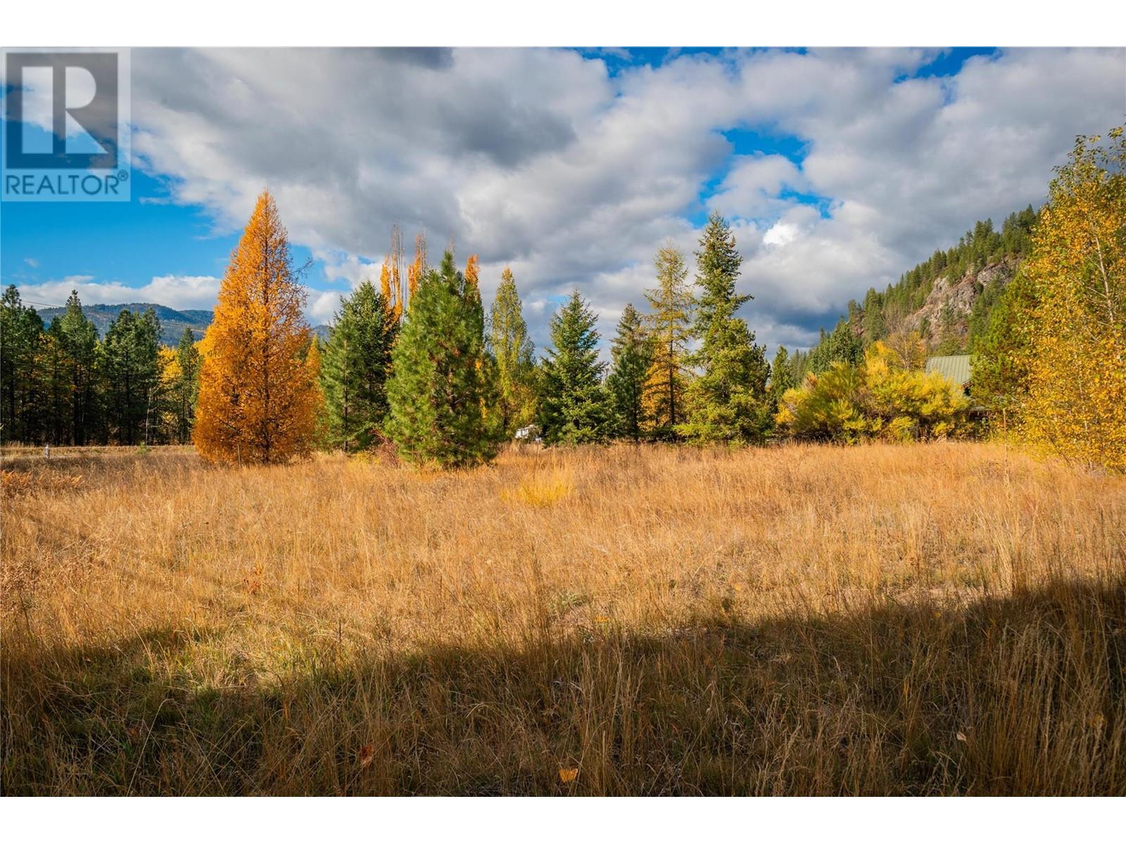 Lot 4 Sandner Frontage Road, Christina Lake, British Columbia  V0N 1E0 - Photo 22 - 2480123