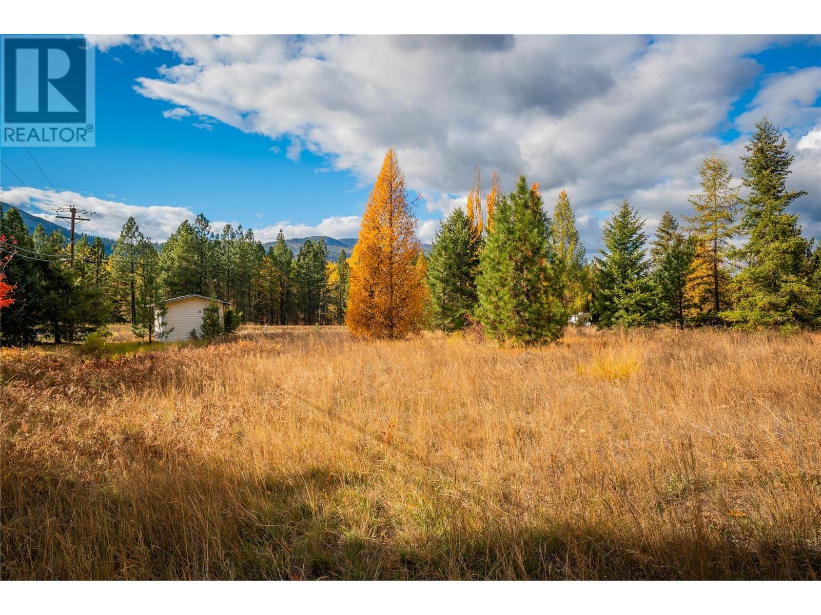 Lot 4 Sandner Frontage Road, Christina Lake, British Columbia  V0N 1E0 - Photo 23 - 2480123