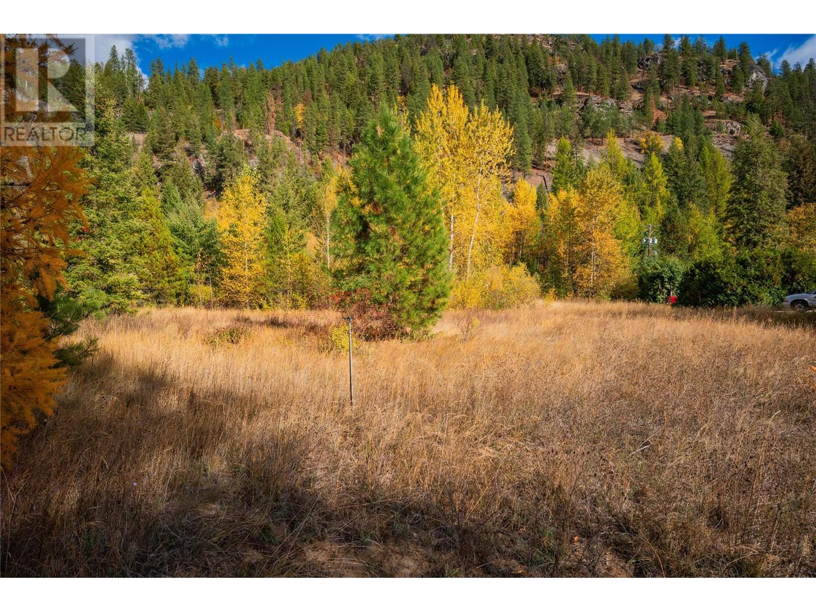 Lot 4 Sandner Frontage Road, Christina Lake, British Columbia  V0N 1E0 - Photo 24 - 2480123