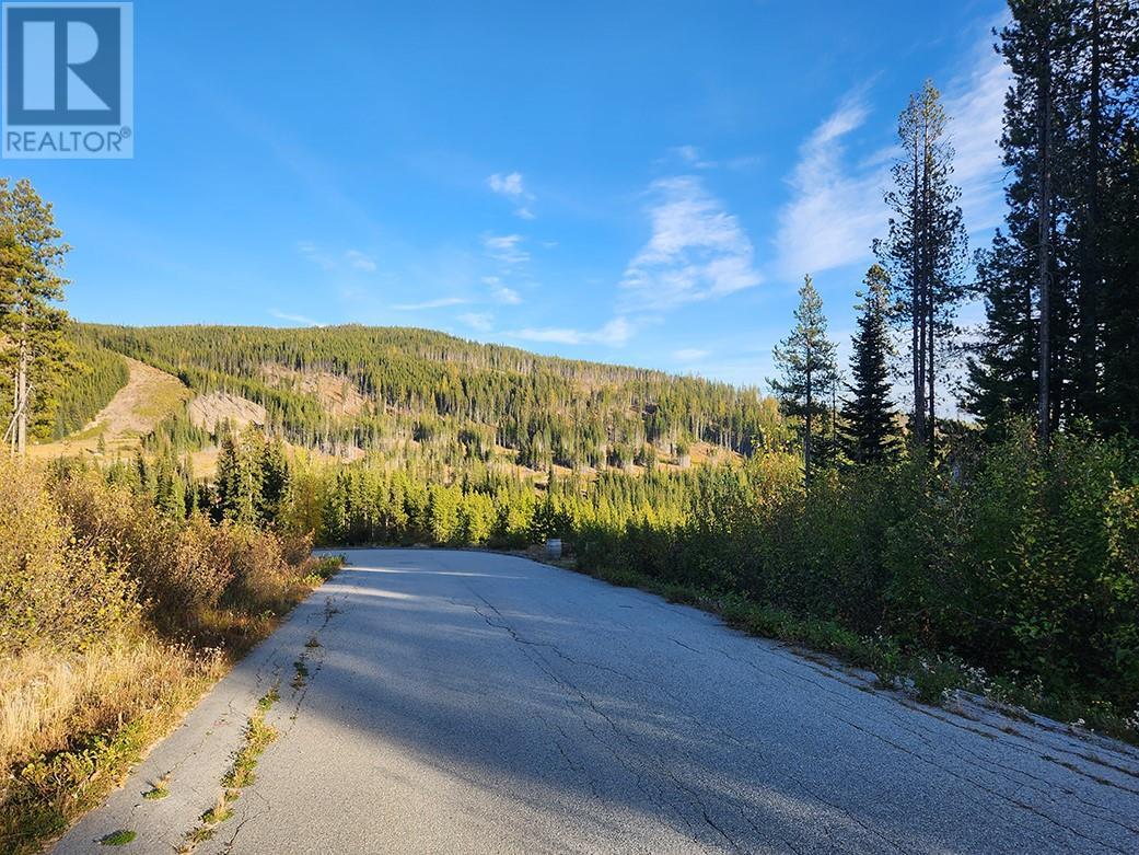 Lot 21 Buck Road, Oliver, British Columbia  V0H 1T8 - Photo 11 - 10326842